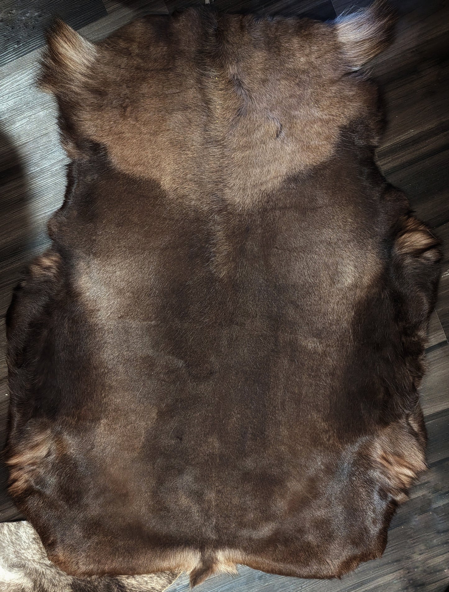 3x Dark Hides
