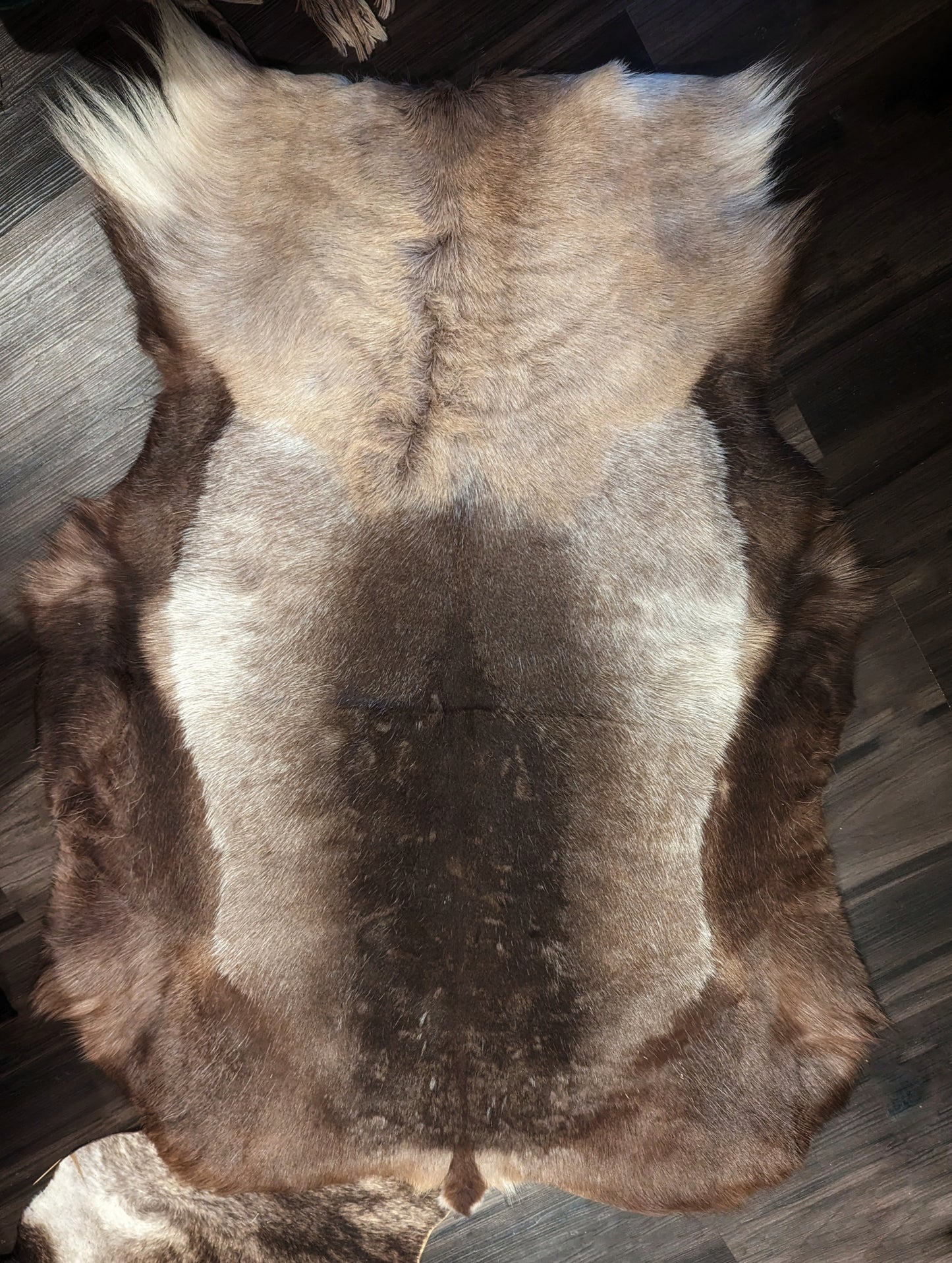 3x Dark Hides