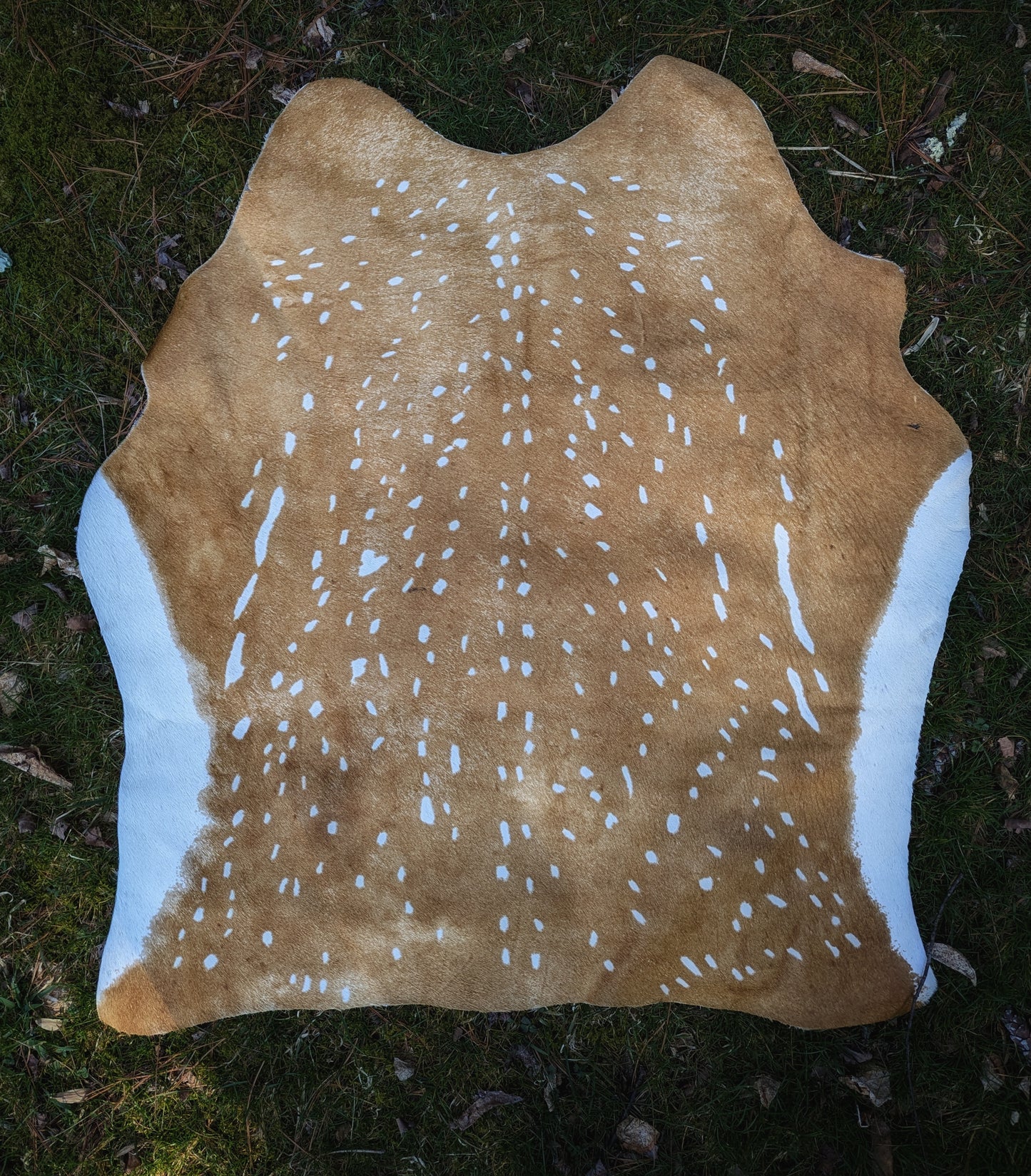 "Fauxn" Fawn Dyed Cowhide Cow Skin