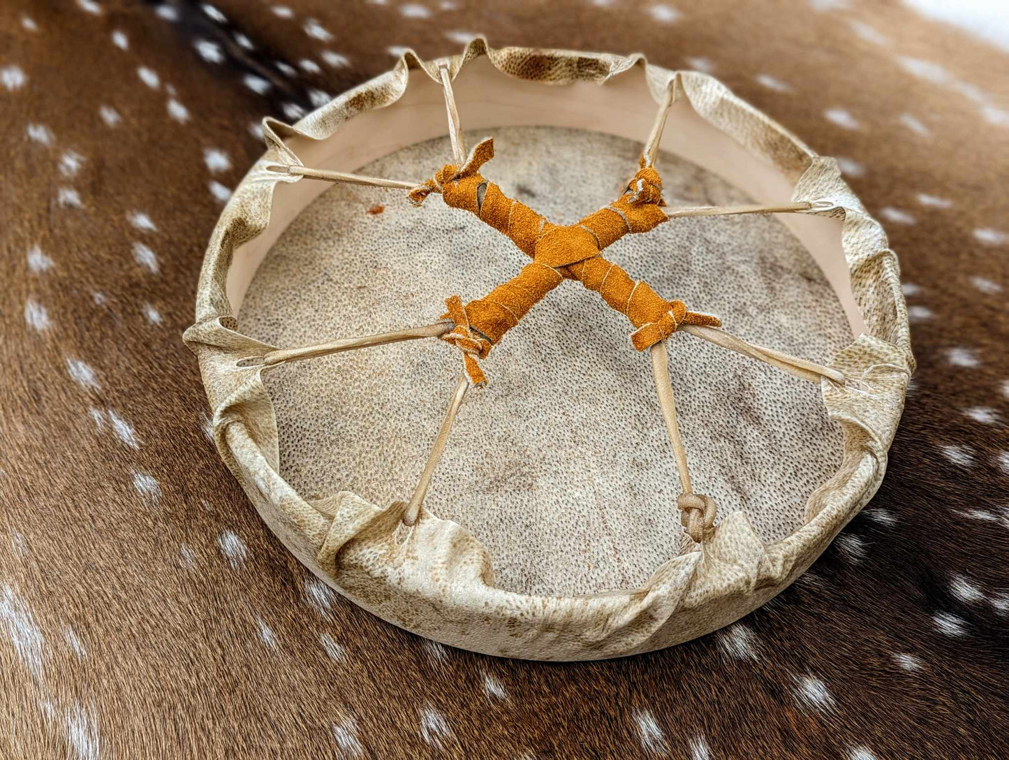 12" Natural Bear Skin Shaman Drum | Bear Hide and Hair Trimmed Beater