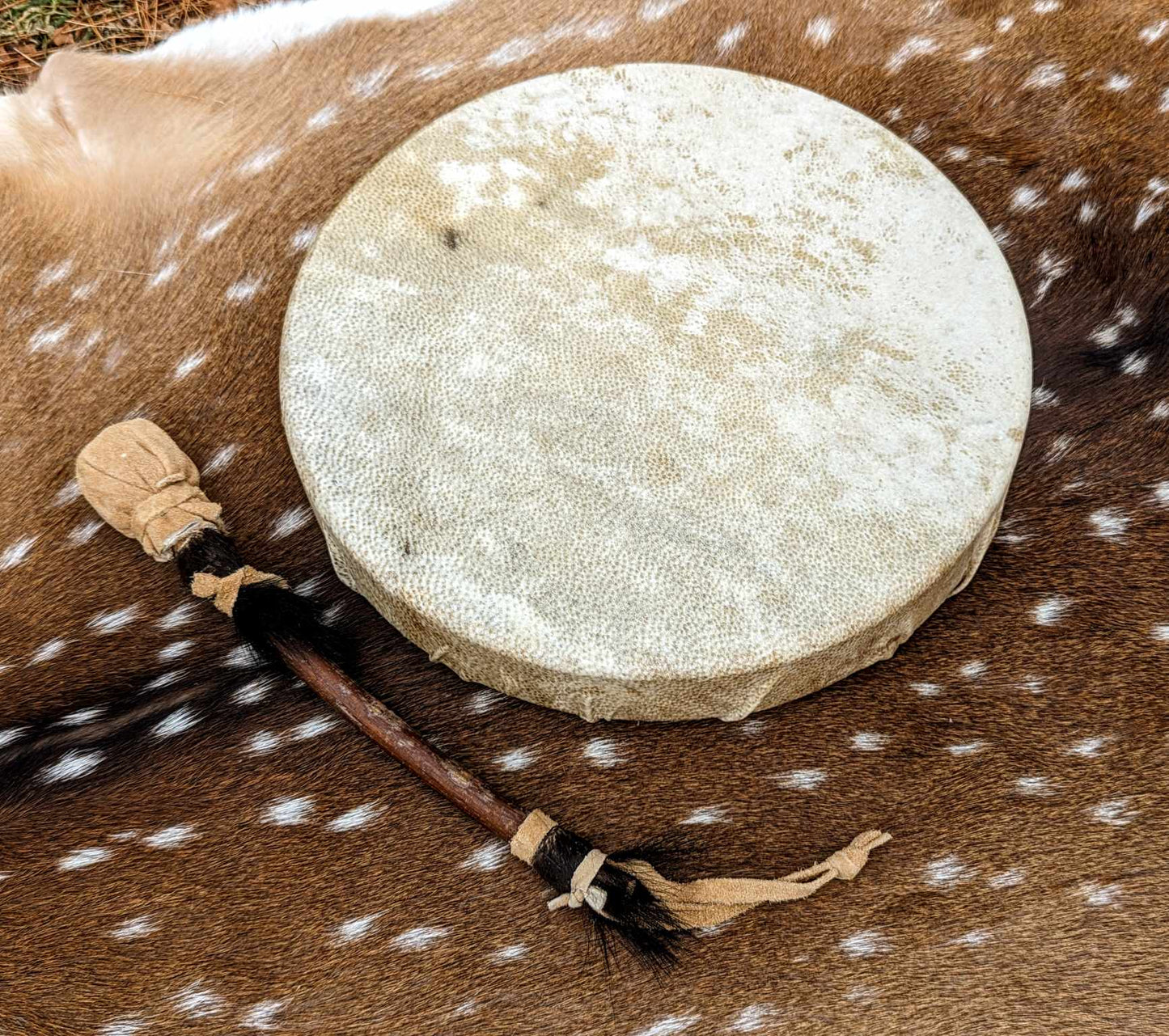 12" Natural Bear Skin Shaman Drum | Bear Hide and Hair Trimmed Beater