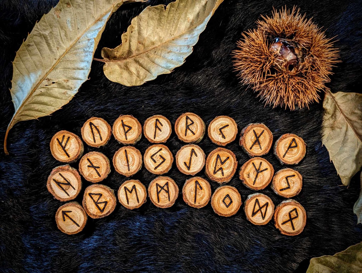 Set of 24 Chestnut Elder Futhark Runes Hand Cut and Burned Natural Wood Runes