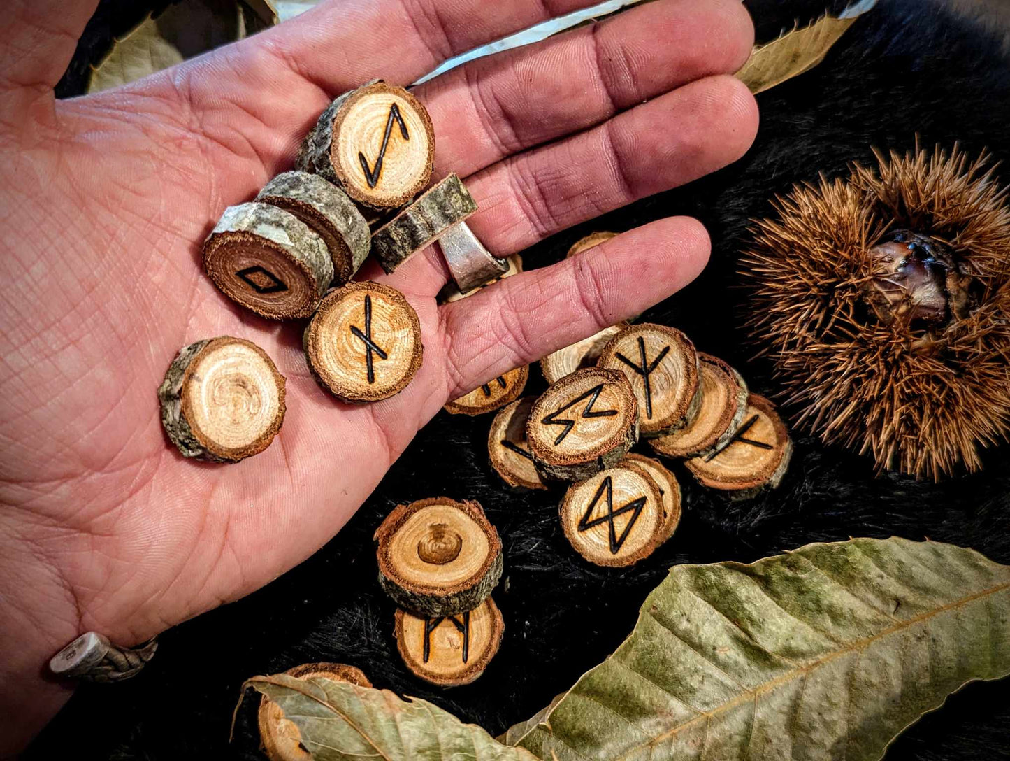 Set of 24 Chestnut Elder Futhark Runes Hand Cut and Burned Natural Wood Runes