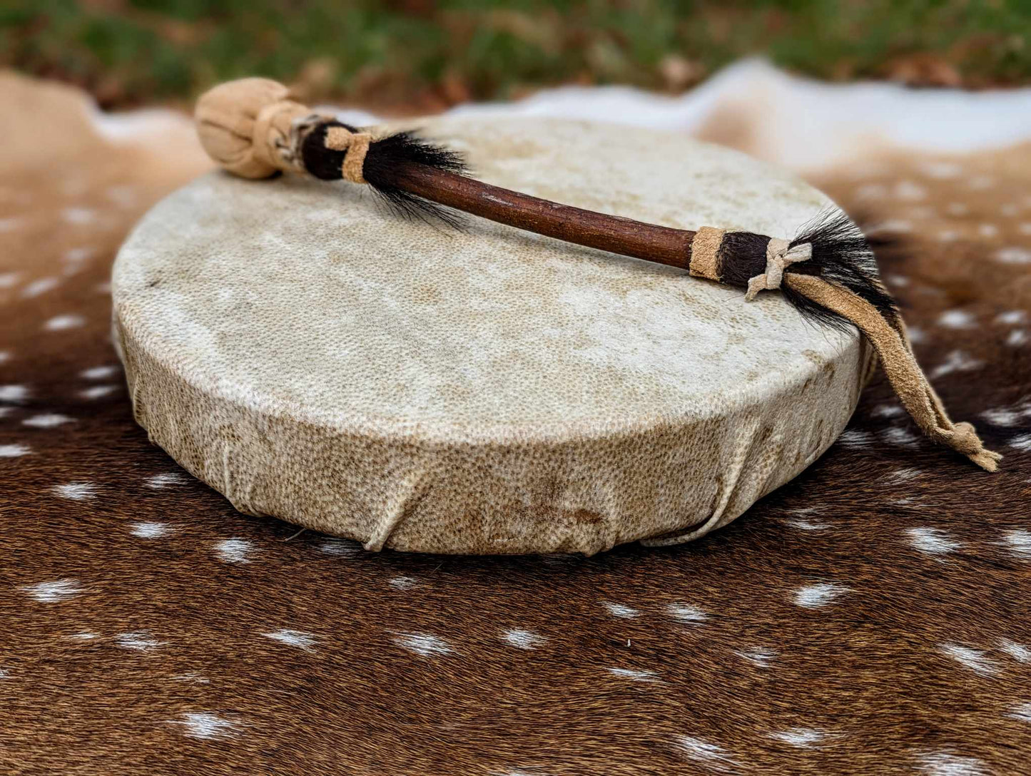12" Natural Bear Skin Shaman Drum | Bear Hide and Hair Trimmed Beater