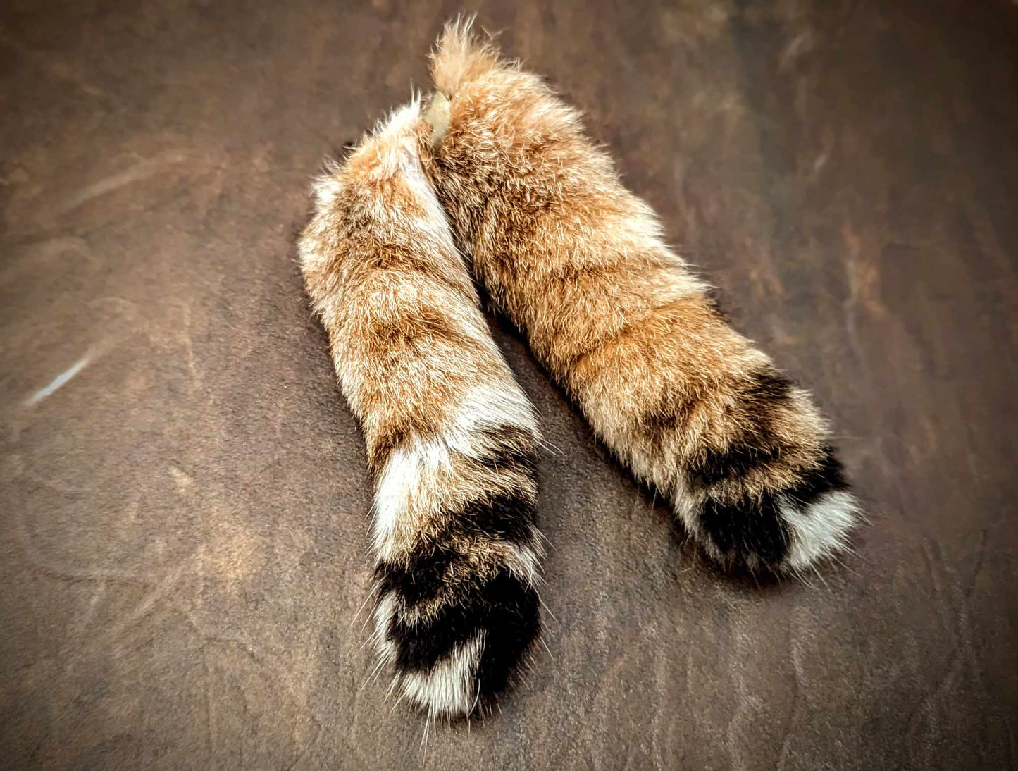 Bobcat Tail Earrings | Genuine Bobcat Fur Brass Jewelry
