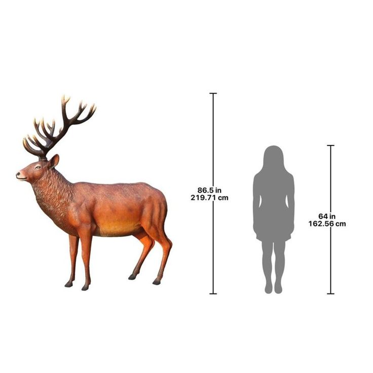 Red Stag European Hart 20 Inch Shaman Drums