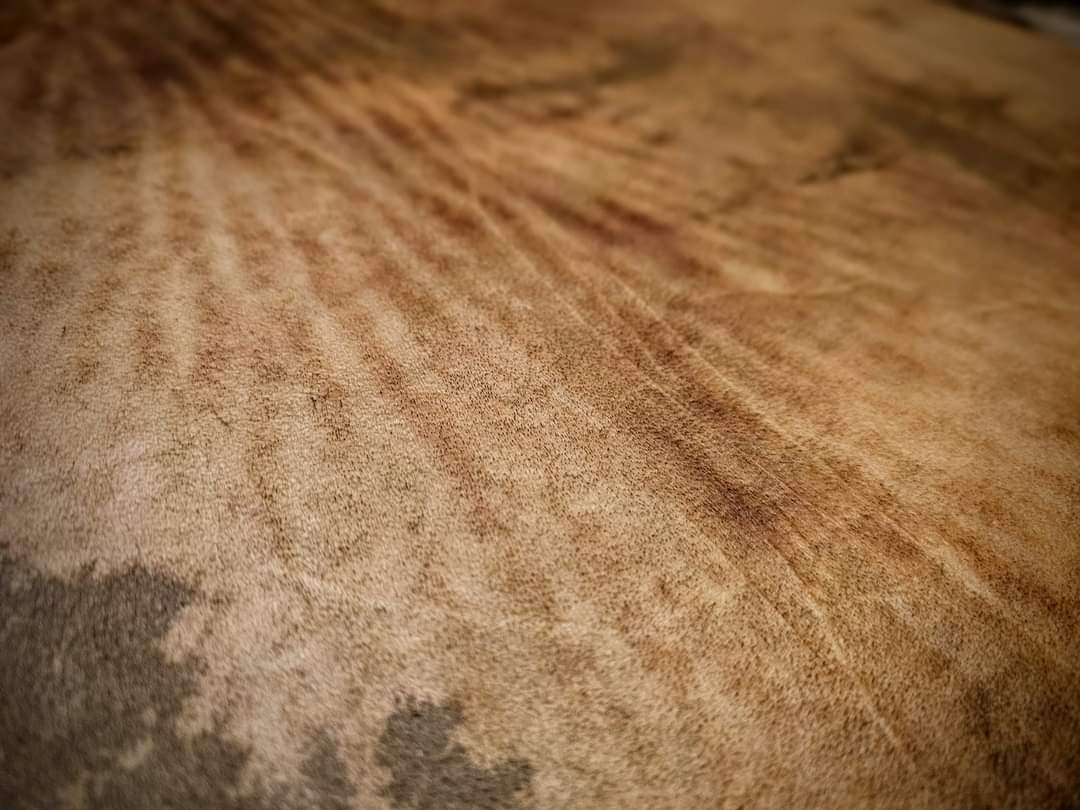 20" Natural Elk Hide Drum | Elk Rib Beater | Shaman Drum | Rawhide Drum