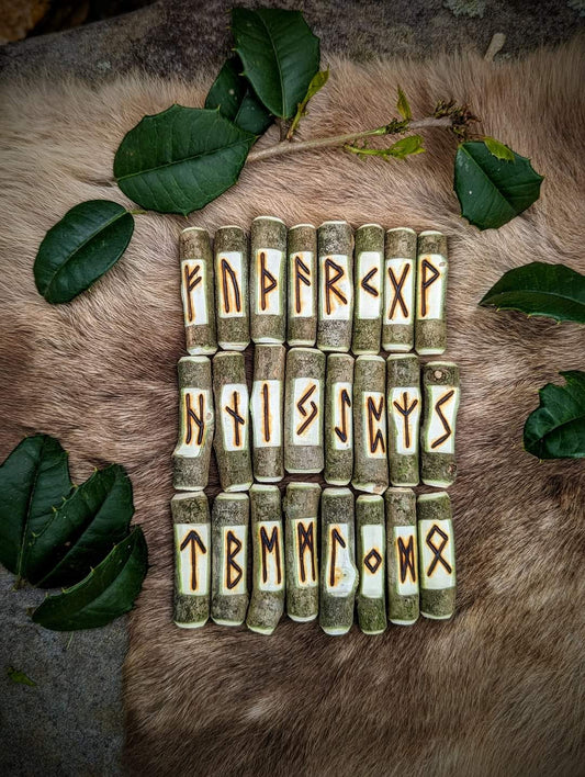 Natural Branch Holly Stick Elder Futhark Runes