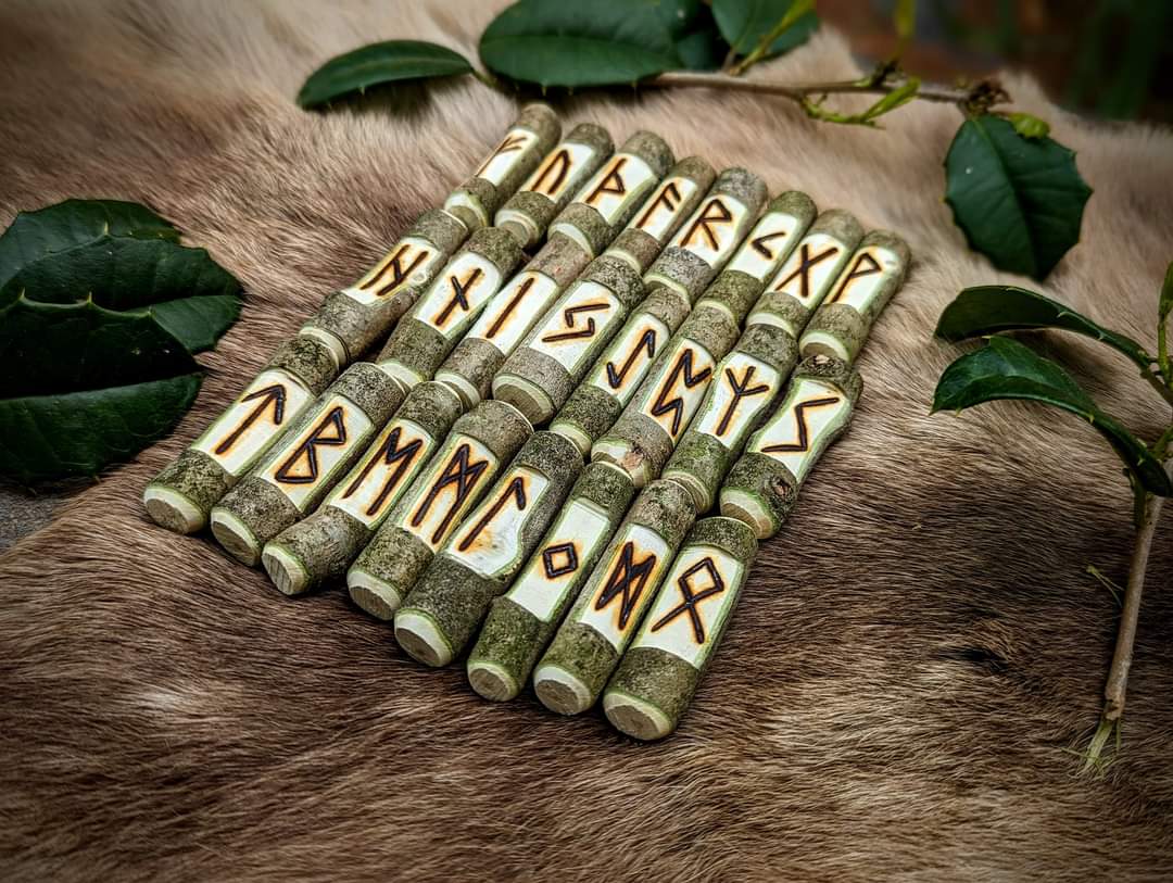 Natural Branch Holly Stick Elder Futhark Runes