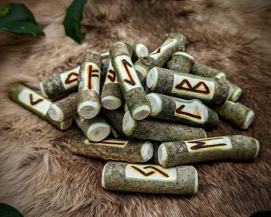 Natural Branch Holly Stick Elder Futhark Runes