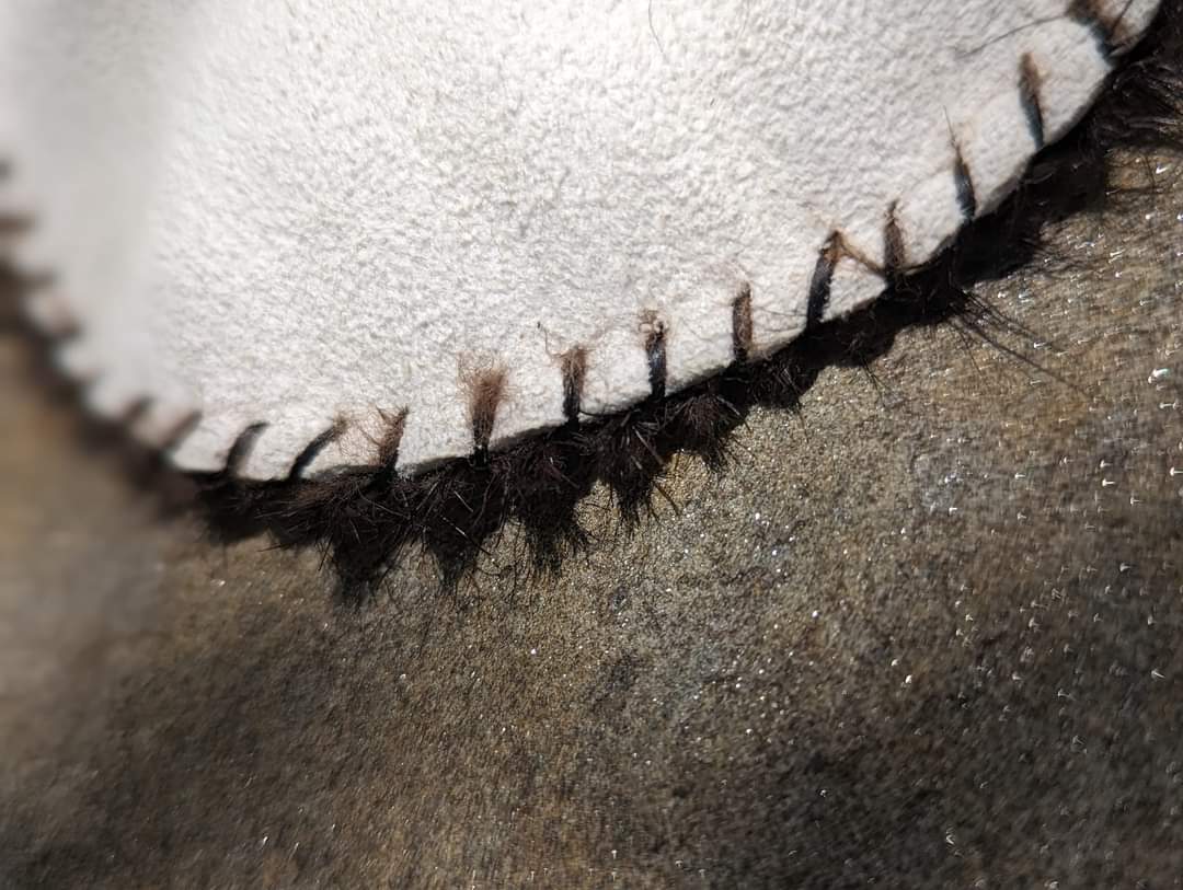 Black Goat Hair-On Medicine or Rune Bag