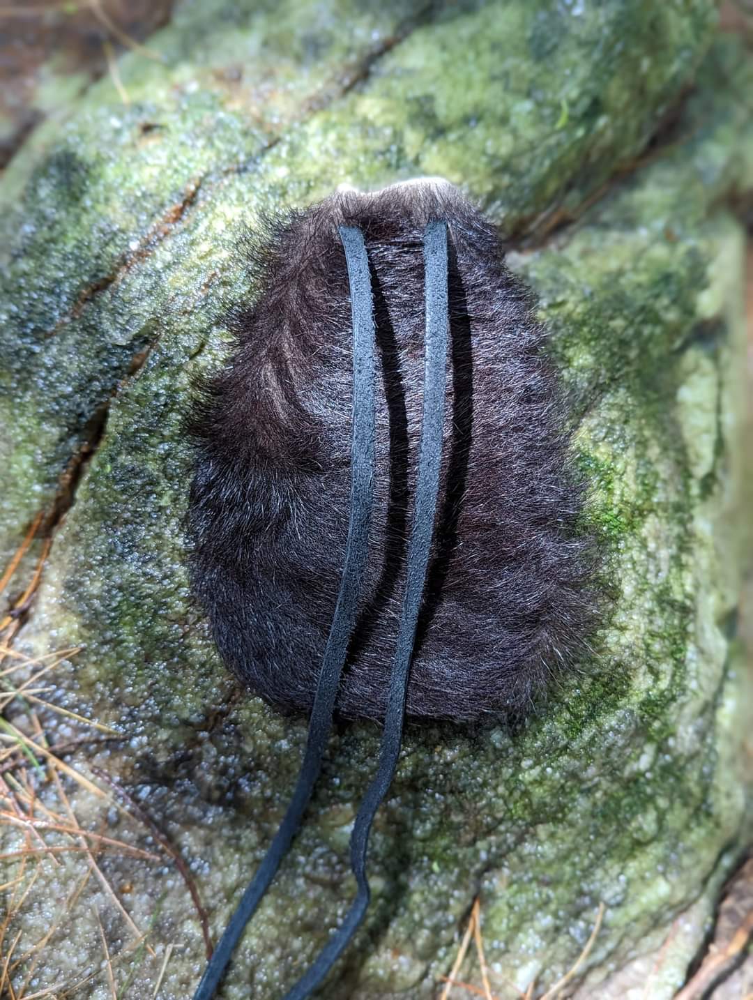 Black Goat Hair-On Medicine or Rune Bag