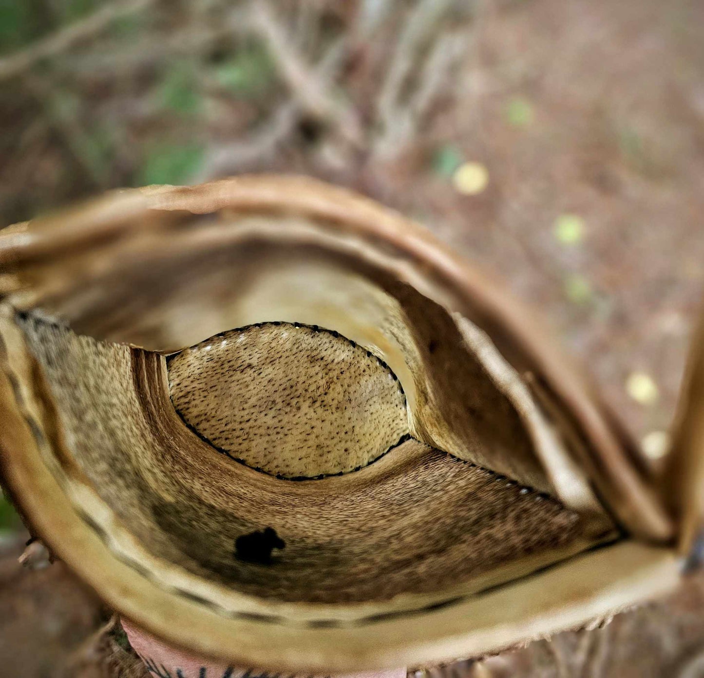 Bear Rawhide Foraging Bag With Buckskin Flap and Buffalo Horn