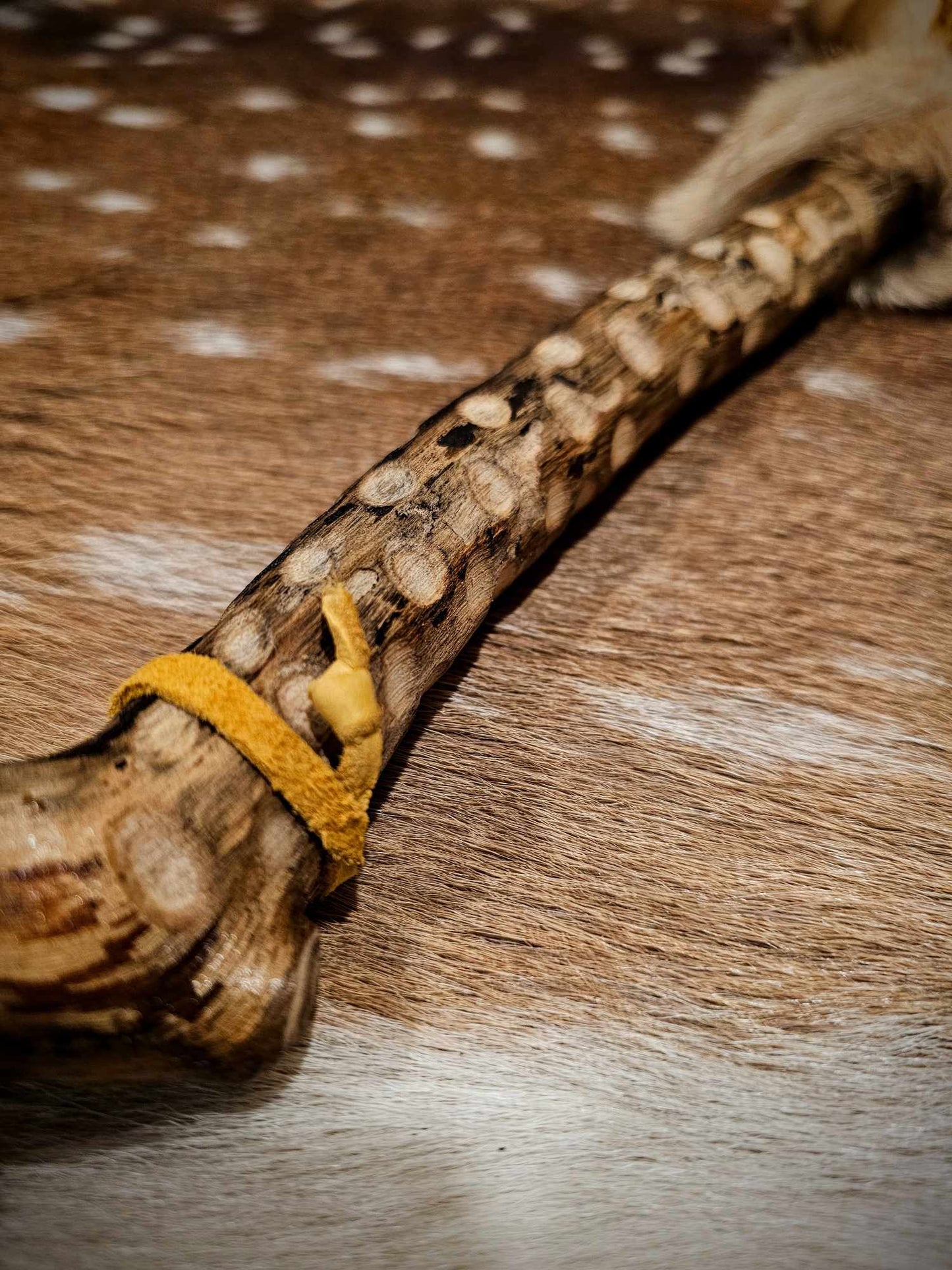Elk Hide Coyote Fur Black Locust and Buckskin Y Shaped Meditation Rattle