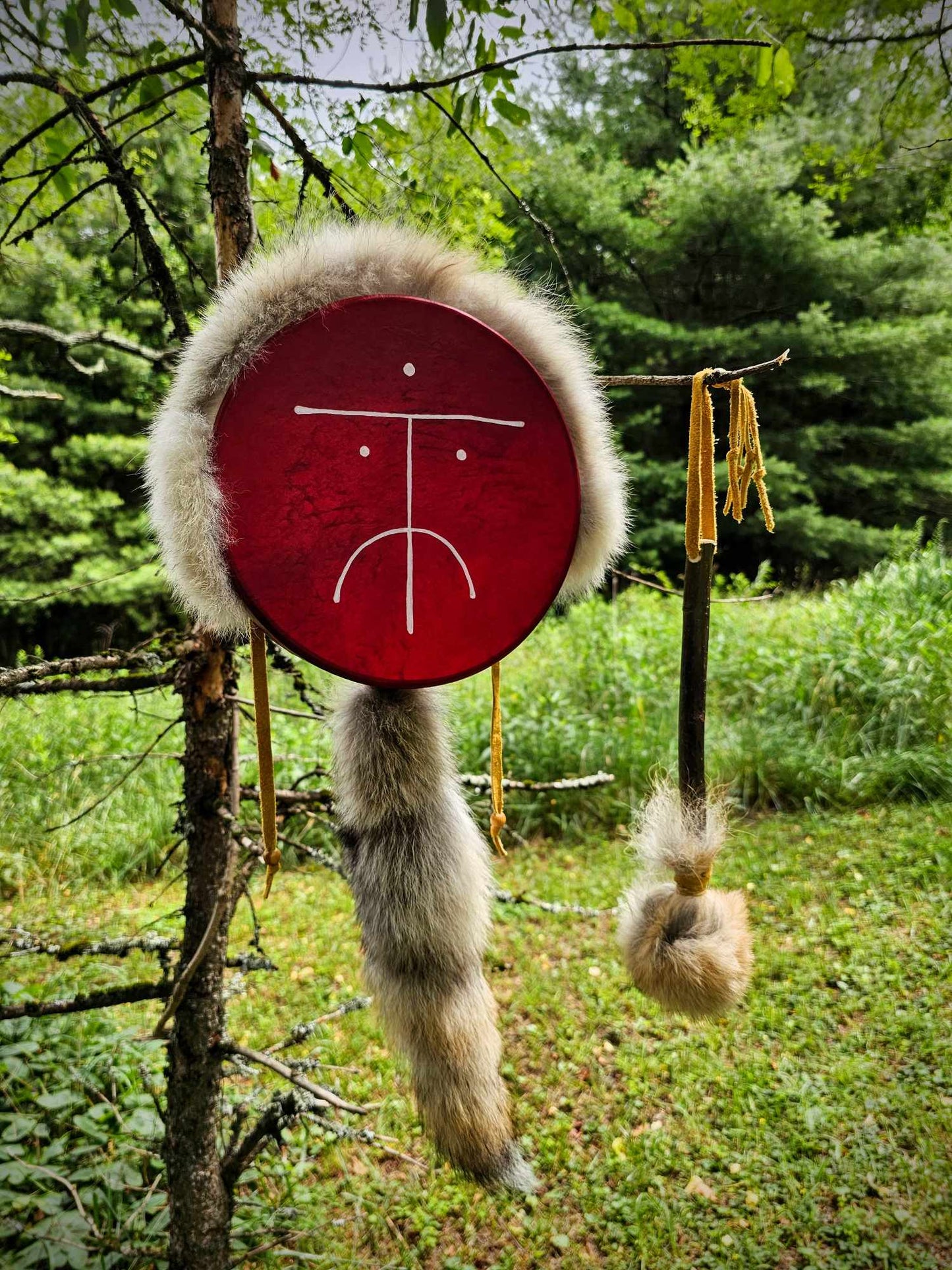 Wild Dog Red Deer Coyote Fur Drum and Alder Wood Beater