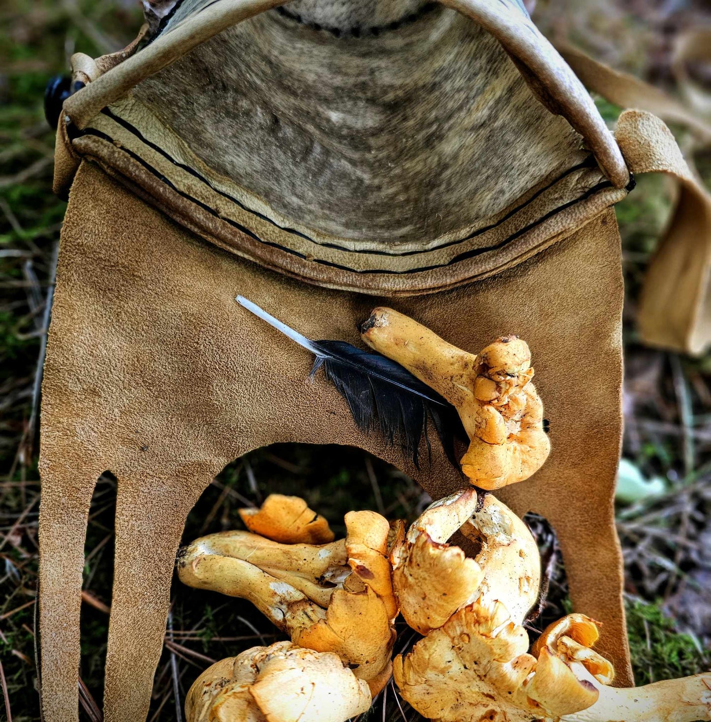 Bear Rawhide Foraging Bag With Buckskin Flap and Buffalo Horn