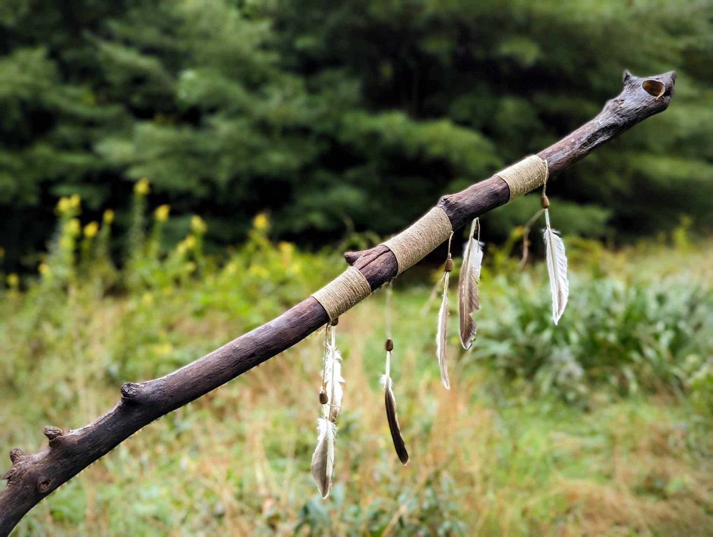 Poplar Tree Branch Ceremonial Staff