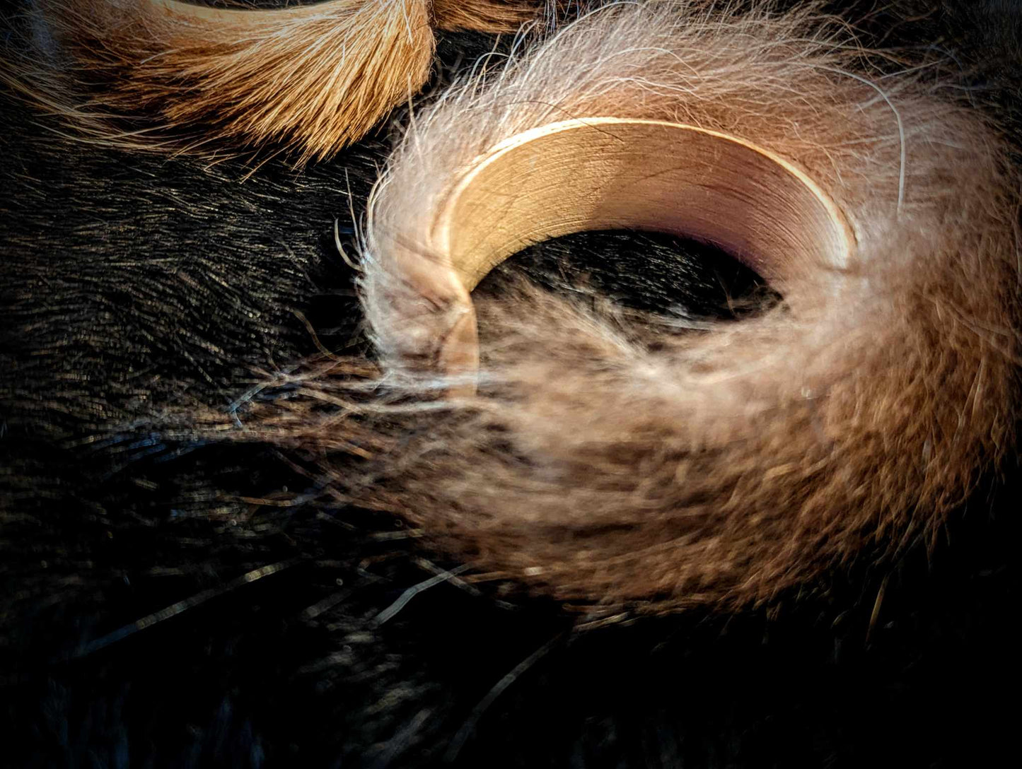 Wolf Fur And Wood Bangle Cuffs