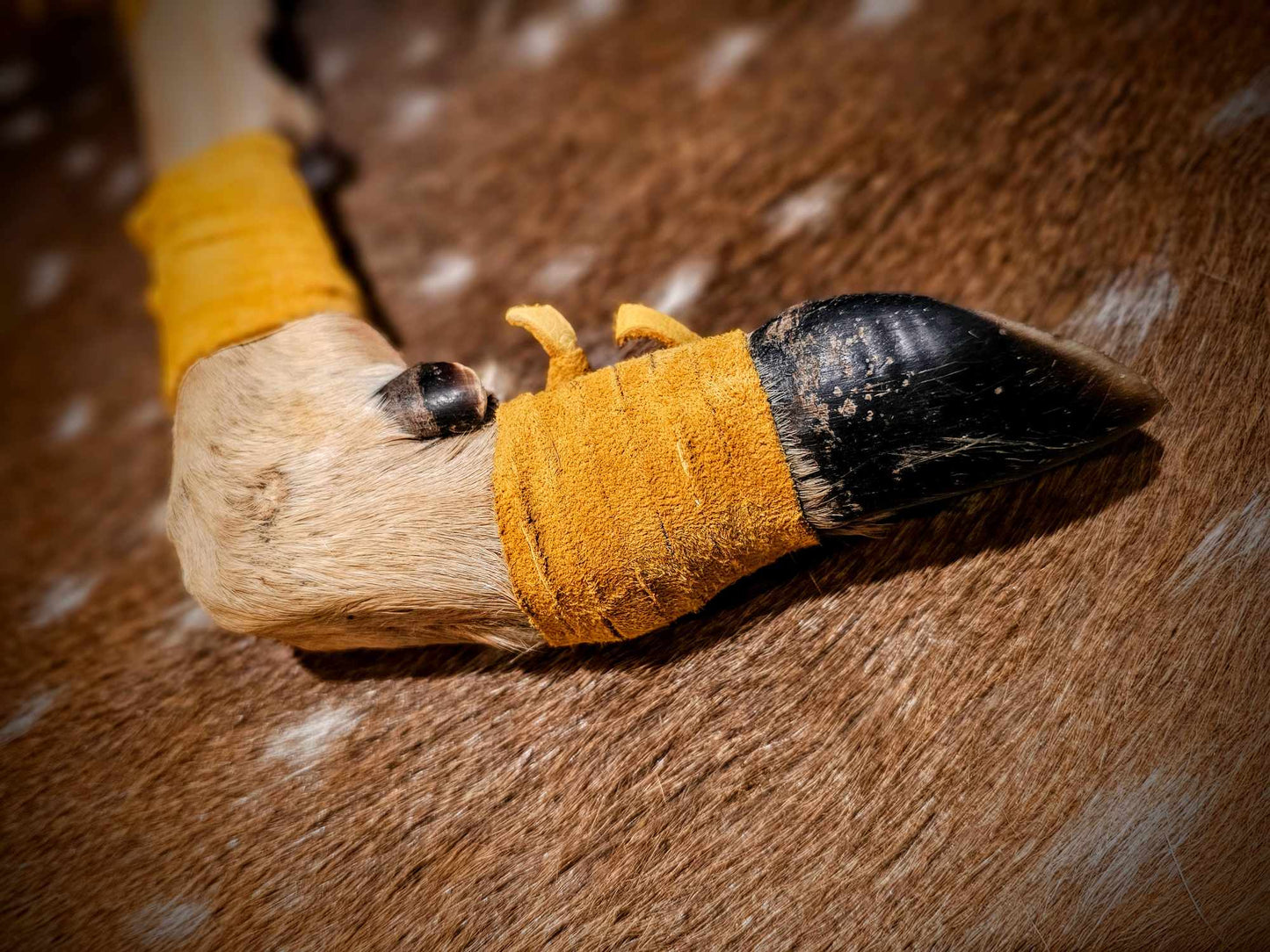 Deer Hoof, Leg, and Bone Arrow Shape Rattle