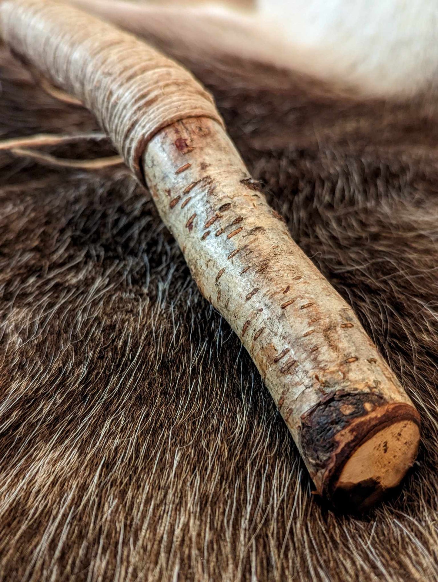 Snake People Medicine Talk Elk Hide Shaman Rattle Forked Tongue