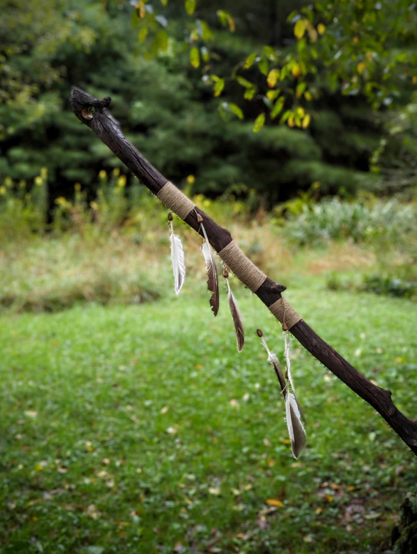 Poplar Tree Branch Ceremonial Staff