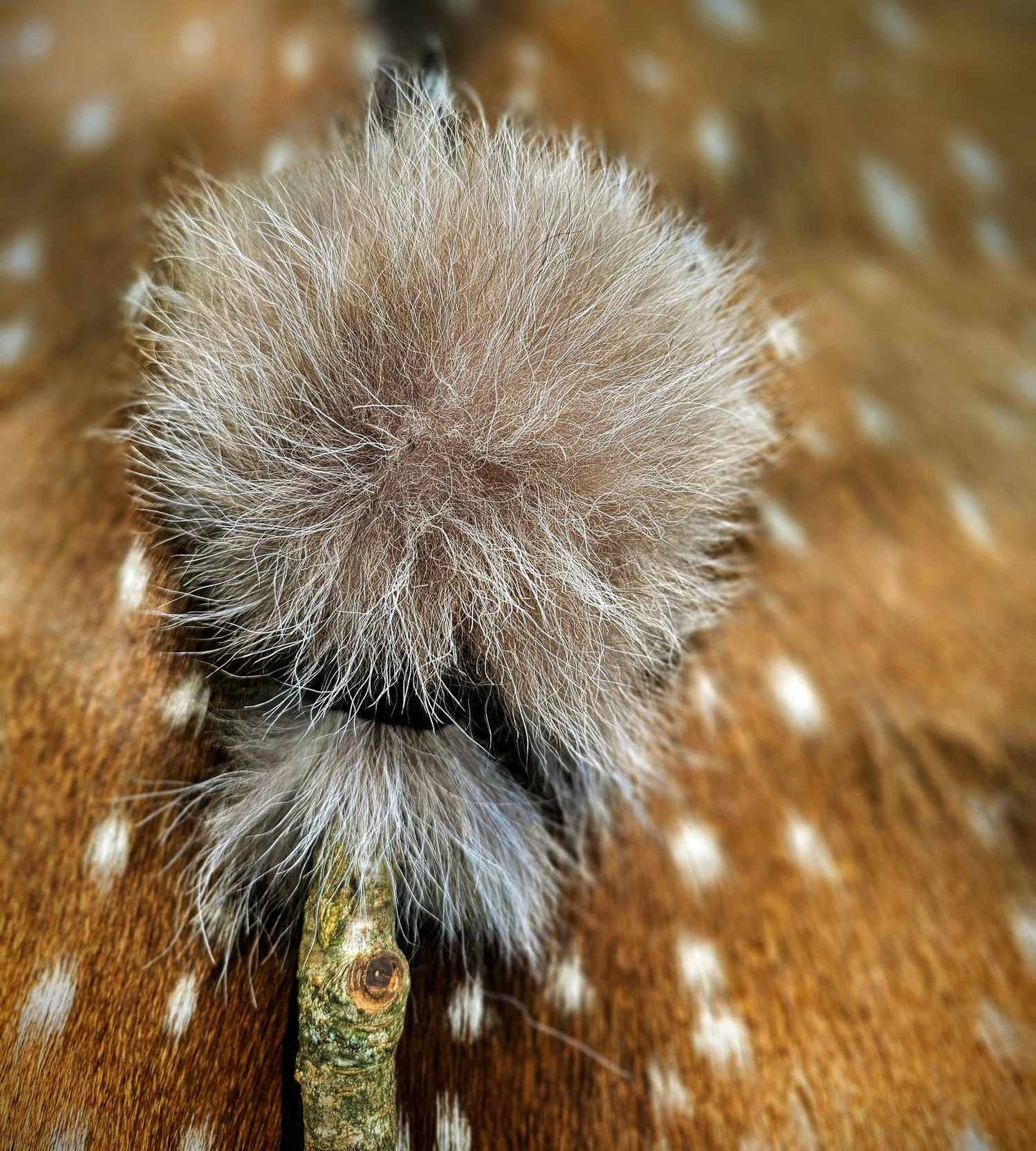 Wolf Fur And Cherry Wood Drum Stick