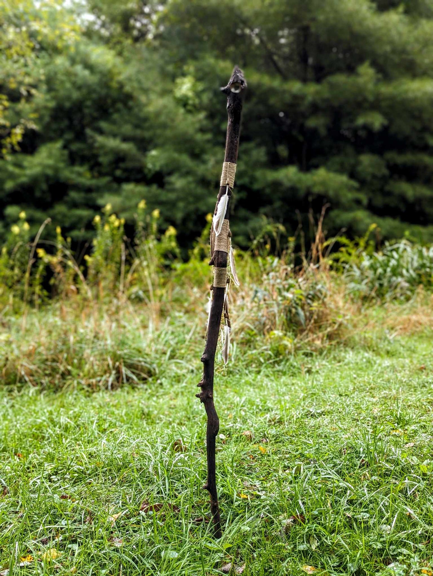 Poplar Tree Branch Ceremonial Staff
