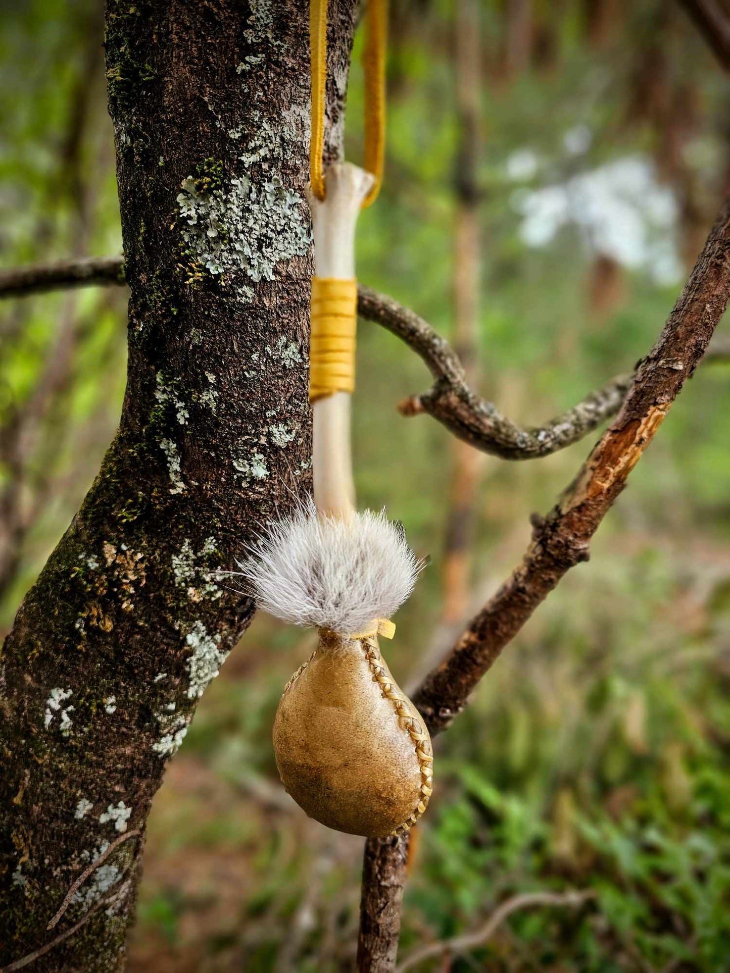 Coyote Bone and Deer Hide Shaman Medicine Rattle With Strap