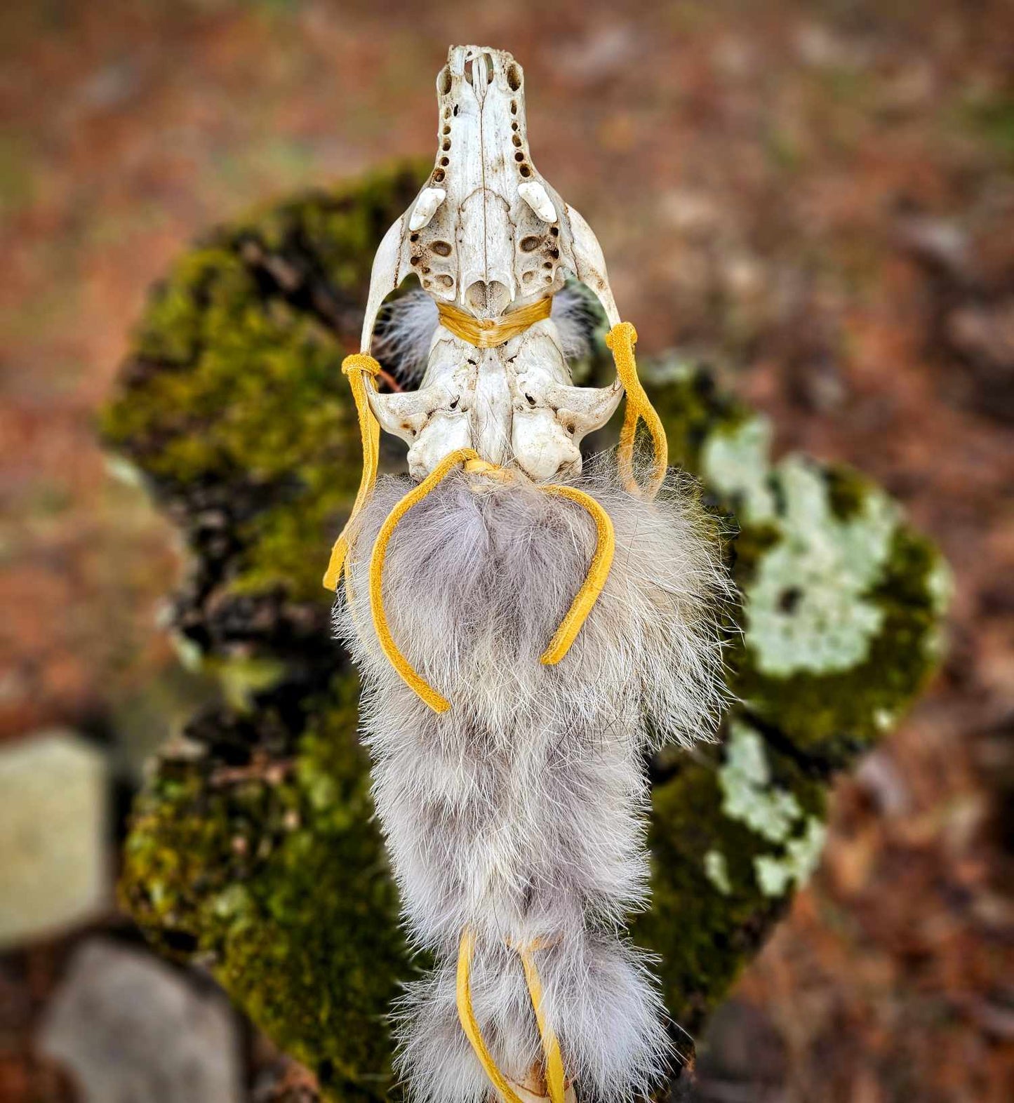Ritual Fox Skull Meditation Medicine Rattle