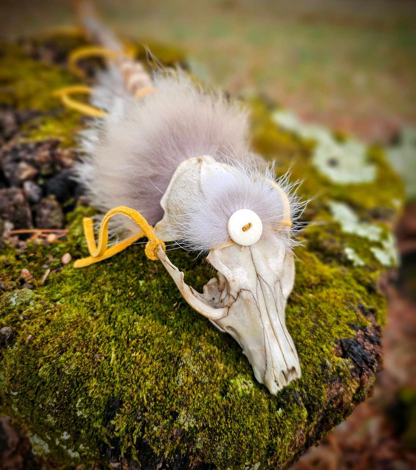 Ritual Fox Skull Meditation Medicine Rattle
