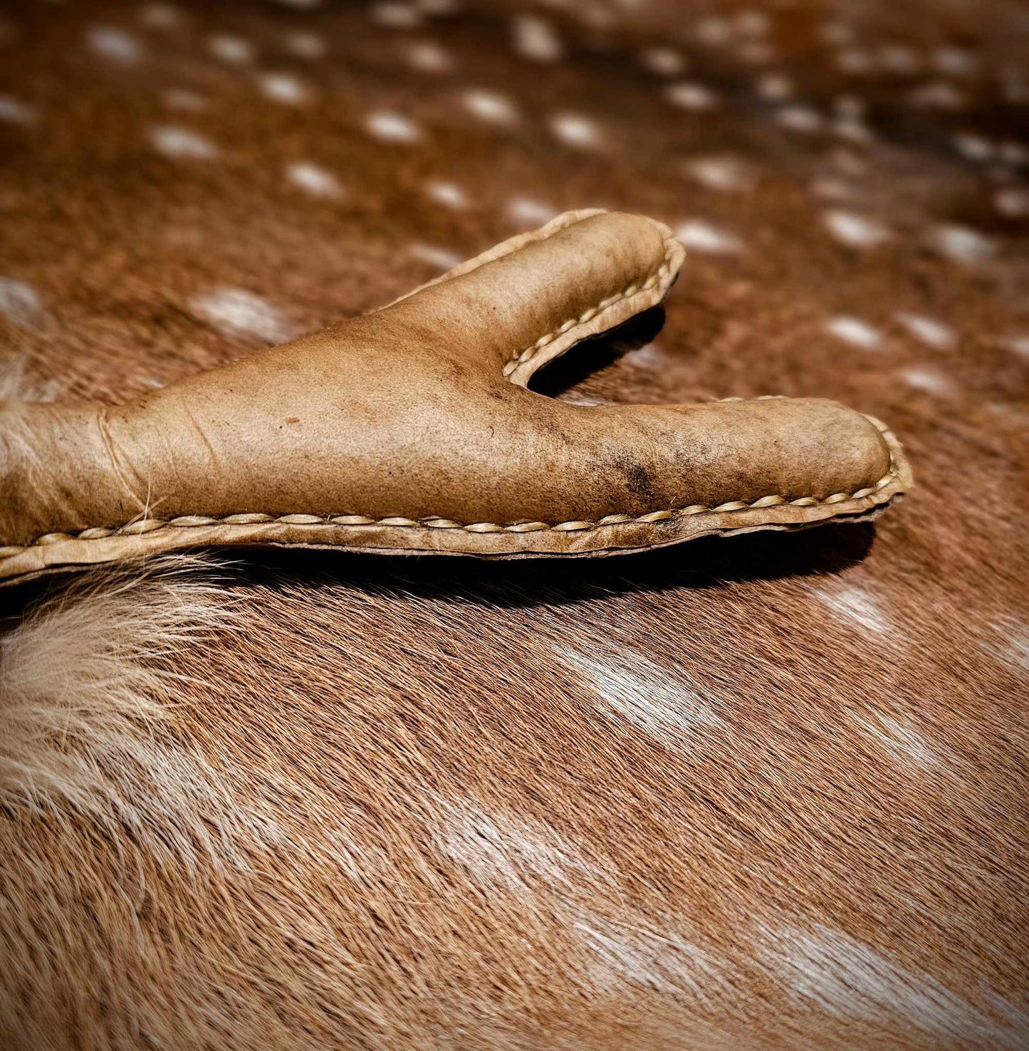 Elk Hide Coyote Fur Black Locust and Buckskin Y Shaped Meditation Rattle