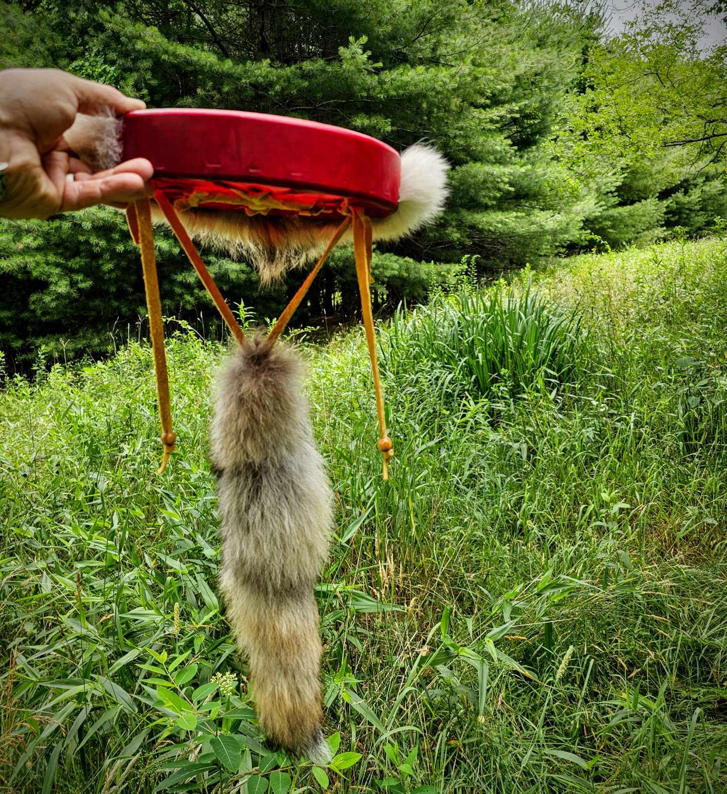 Wild Dog Red Deer Coyote Fur Drum and Alder Wood Beater