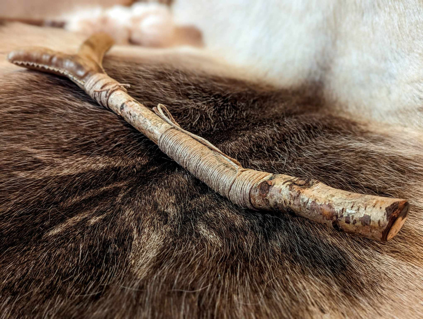 Snake People Medicine Talk Elk Hide Shaman Rattle Forked Tongue