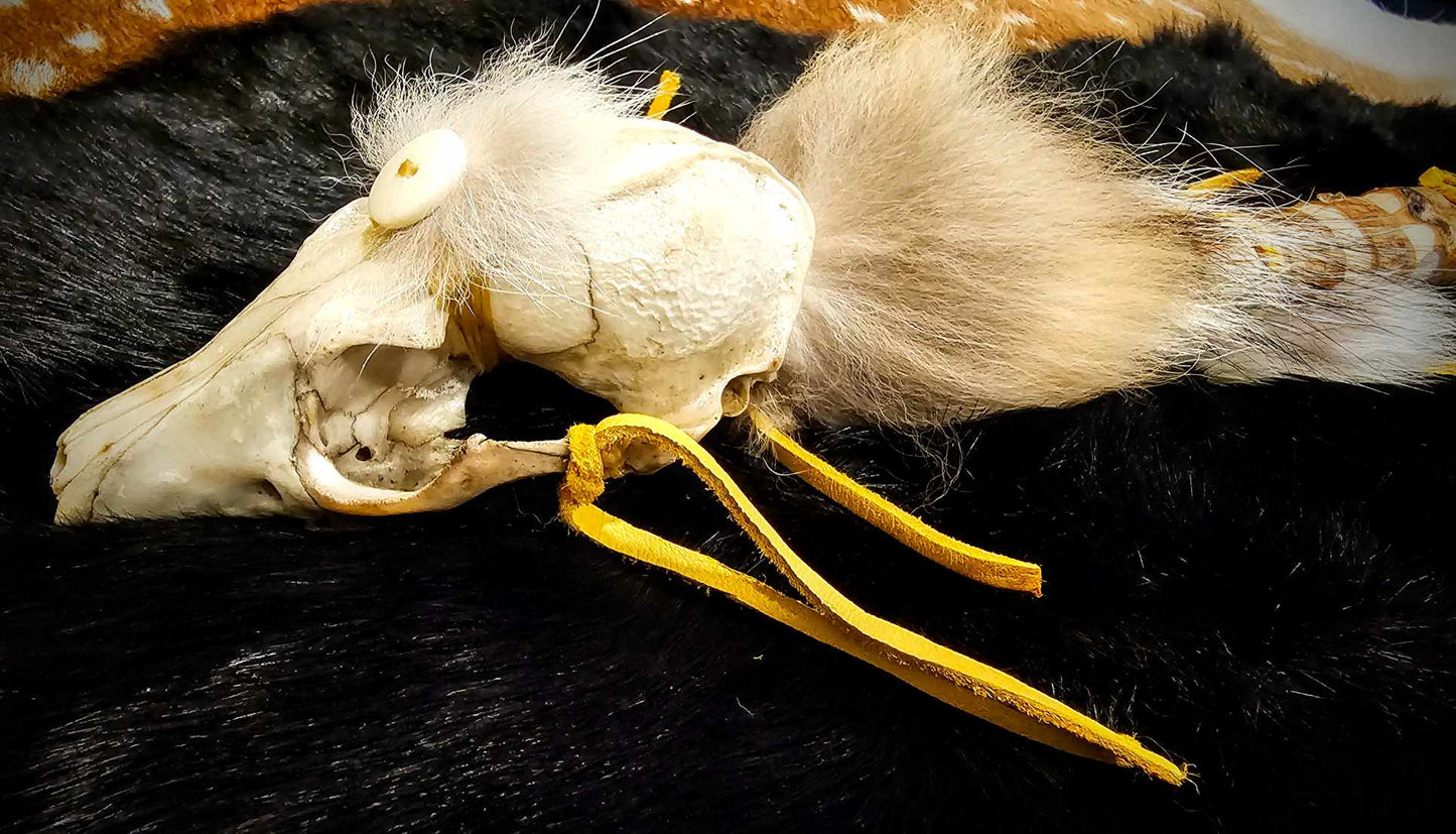 Ritual Fox Skull Meditation Medicine Rattle