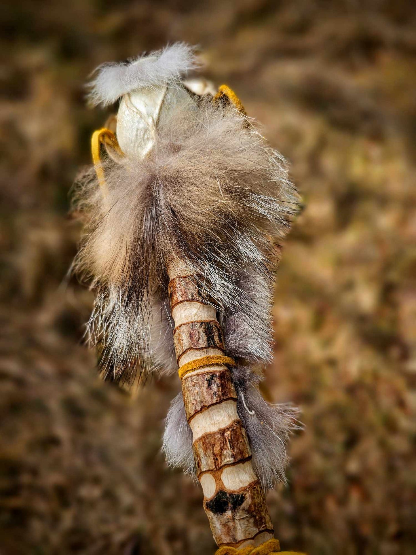 Ritual Fox Skull Meditation Medicine Rattle