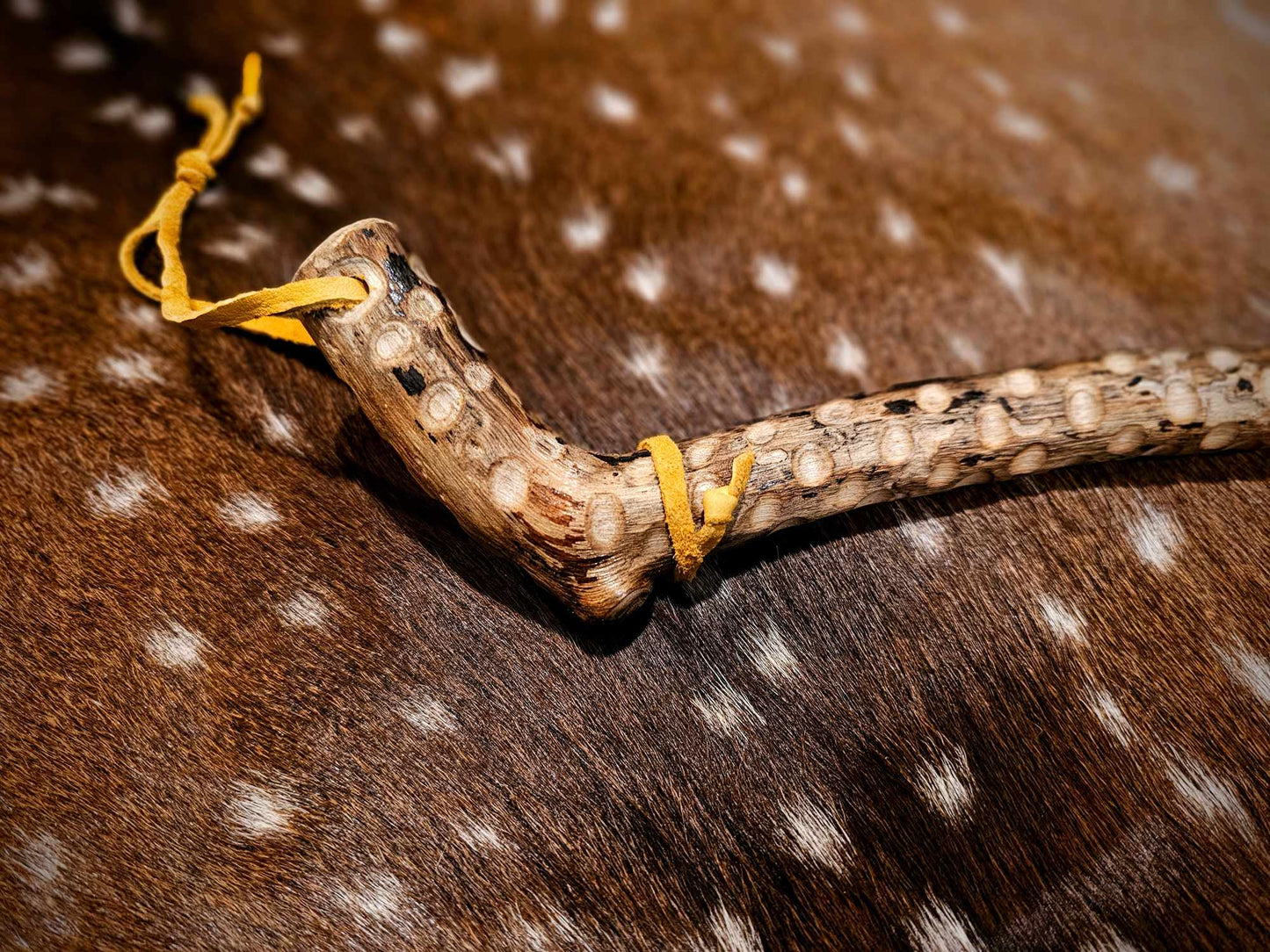 Elk Hide Coyote Fur Black Locust and Buckskin Y Shaped Meditation Rattle