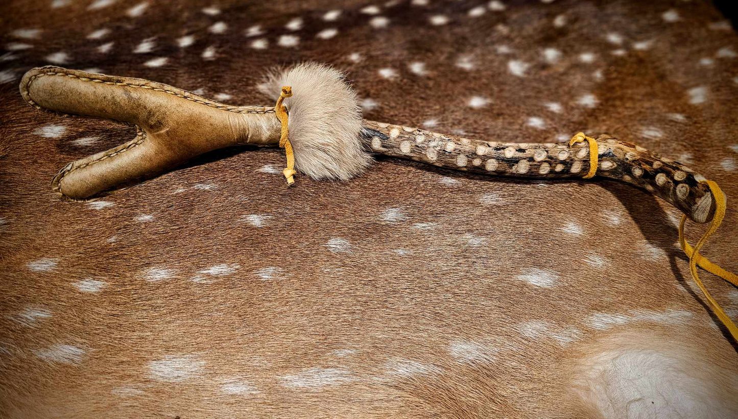 Elk Hide Coyote Fur Black Locust and Buckskin Y Shaped Meditation Rattle