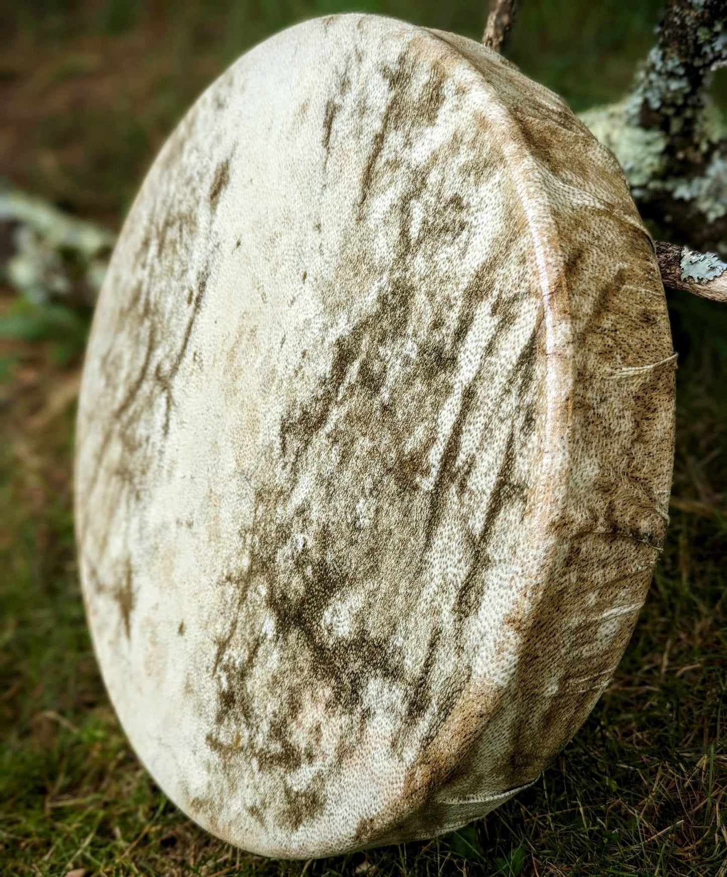 RESERVED - Natural Deep Tone Bear Skin Drum Rare 16" + Alderwood Bear Fur & Leather Beater | Handmade Shaman Drum