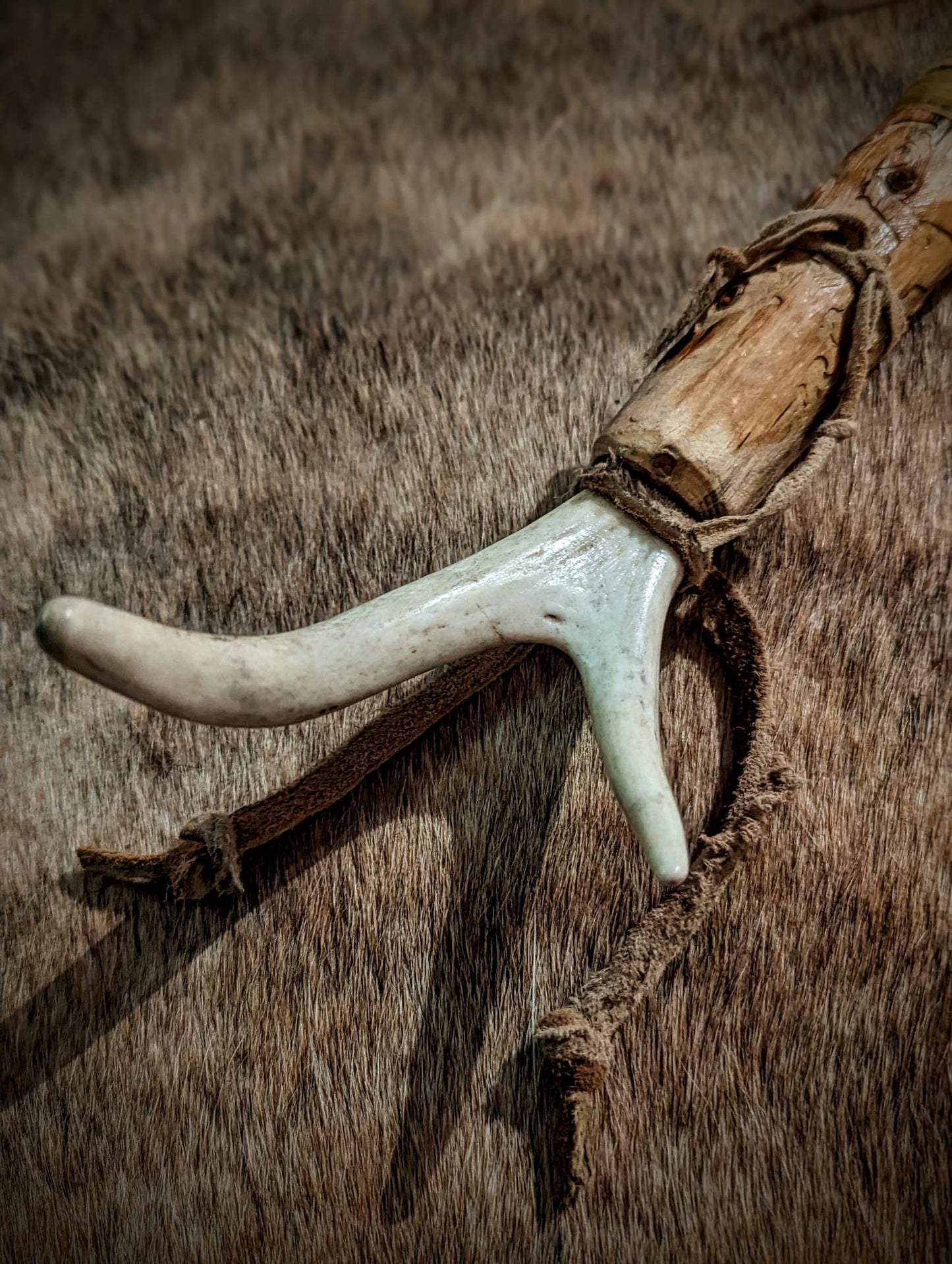 Deer Hide and Antler Rattle With Duck Feathers and Coyote Fur