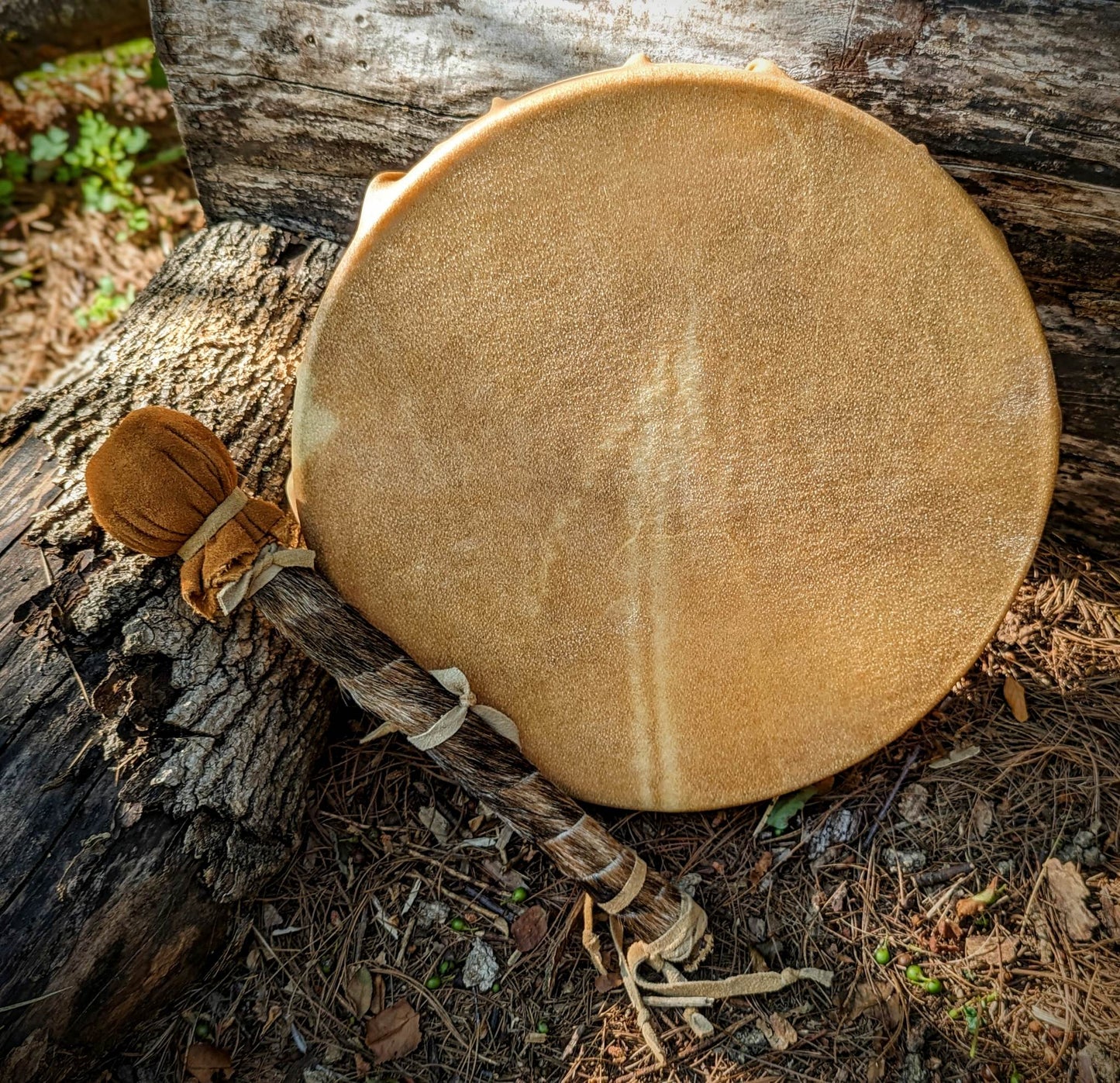12 Inch Steer Hide Shaman Drum With Hair On Cowhide Beater