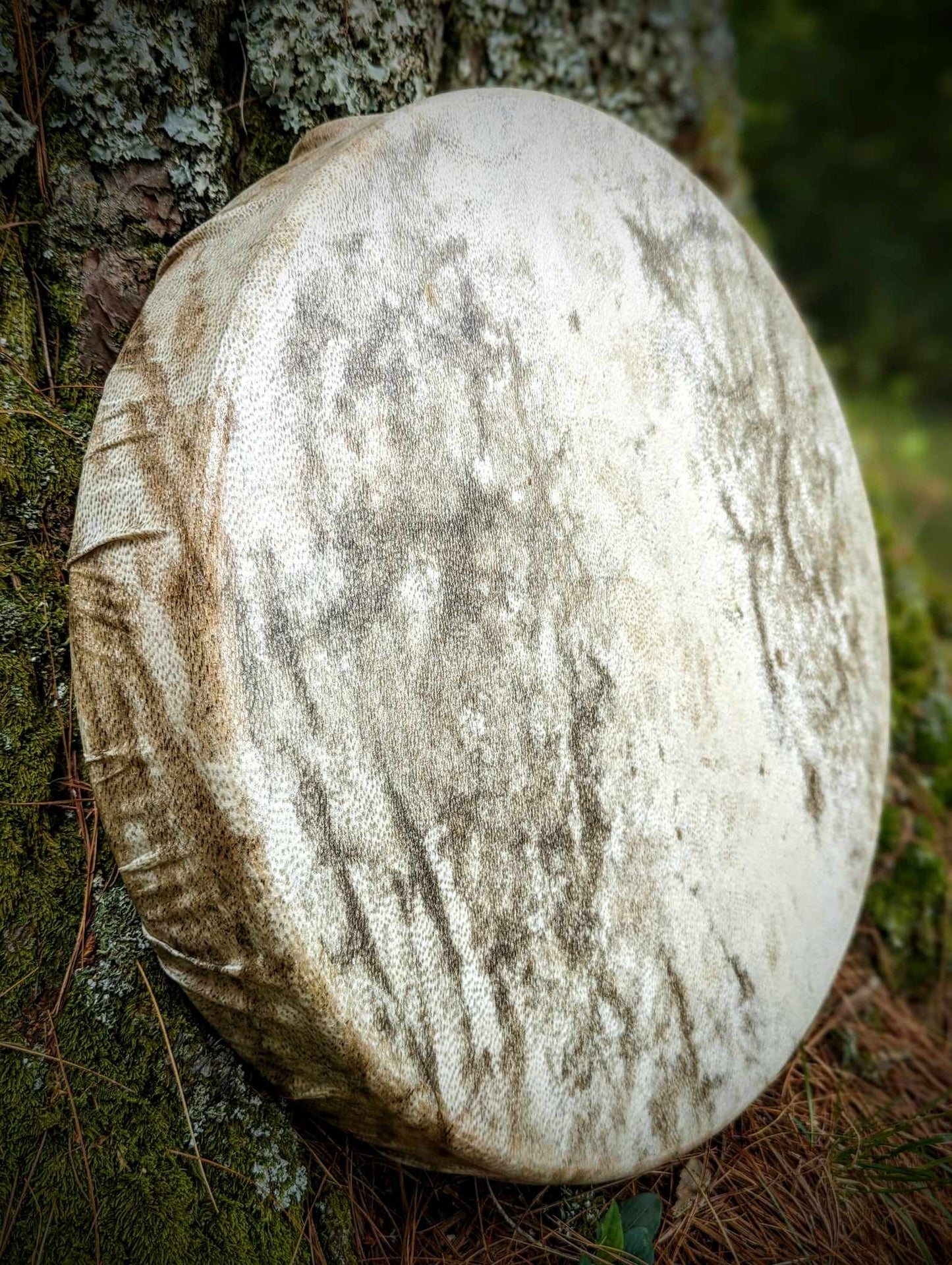 RESERVED - Natural Deep Tone Bear Skin Drum Rare 16" + Alderwood Bear Fur & Leather Beater | Handmade Shaman Drum