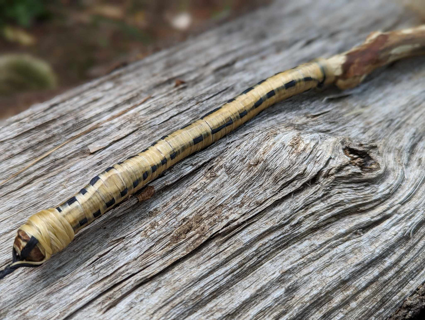 Bear Skin Shaman Rattle with Coyote Fur, Apple Branch, Woven Sinew