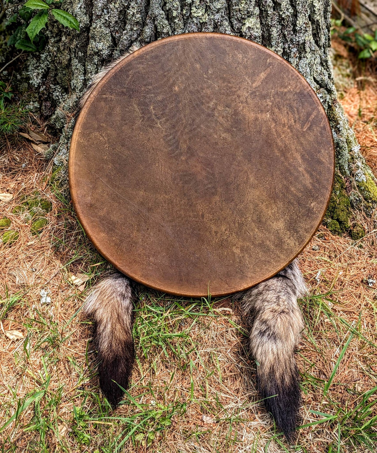 20 Inch Horse Hide Drum with Coyote Tail, and Bison Hair