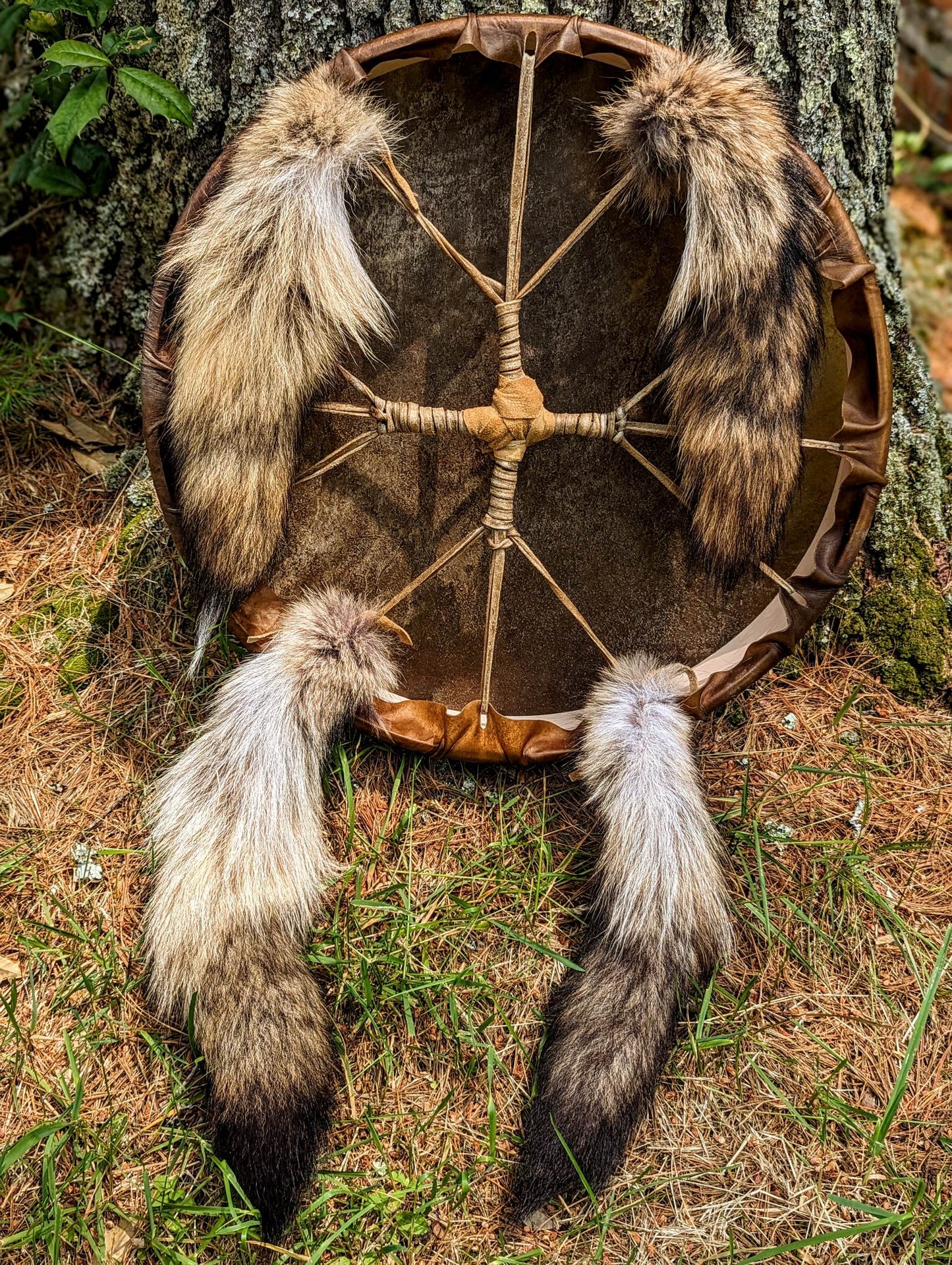 20 Inch Horse Hide Drum with Coyote Tail, and Bison Hair