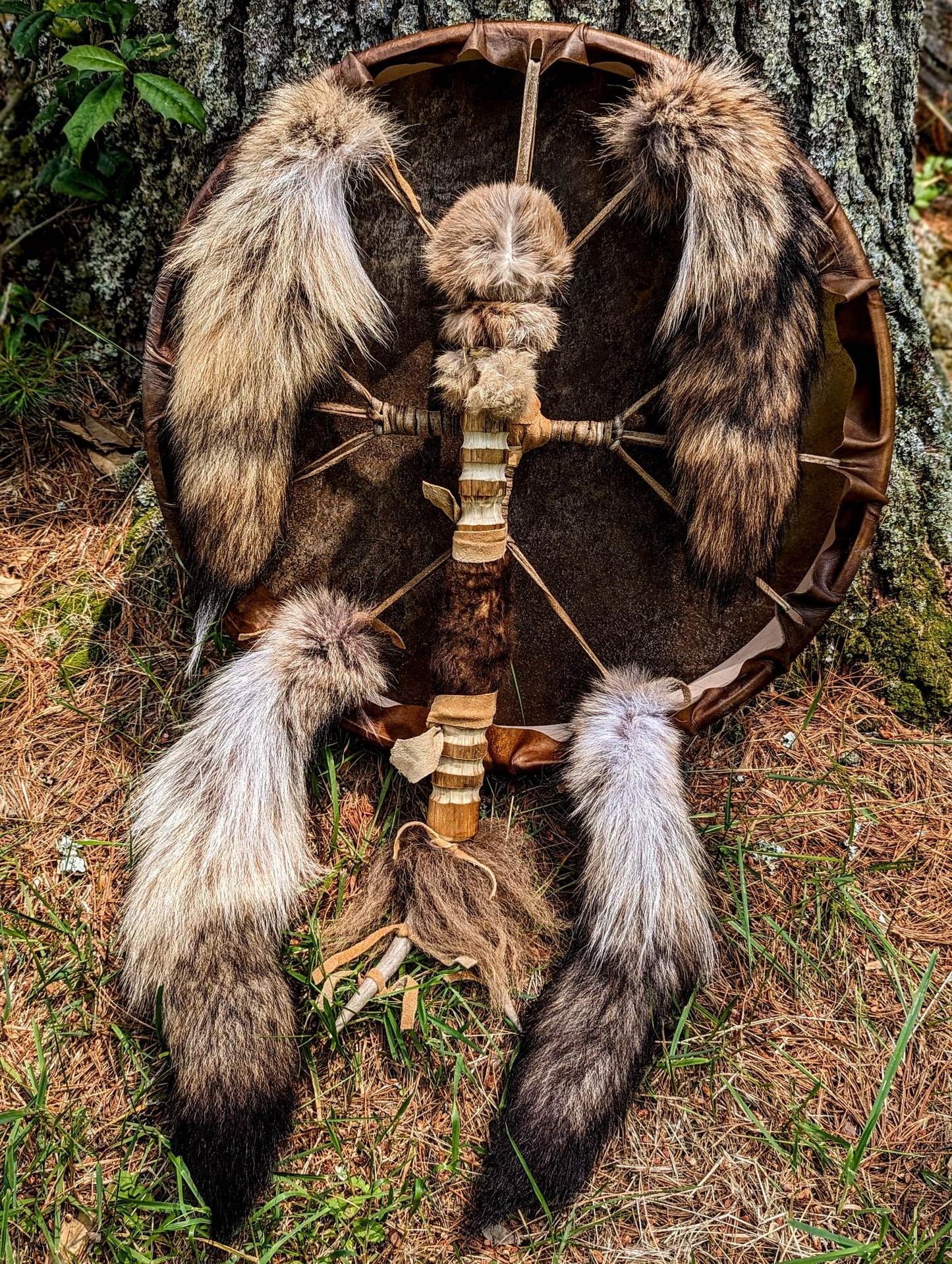 20 Inch Horse Hide Drum with Coyote Tail, and Bison Hair
