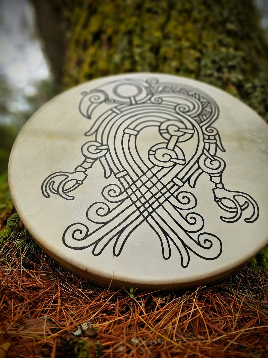 Vulture Drum