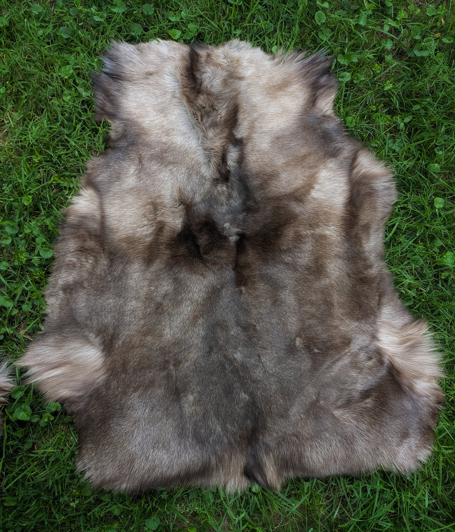 Super Soft Dark Brown Finnish Reindeer Hides | Imported from Sami Herders | Viking Decor | Fur Throw