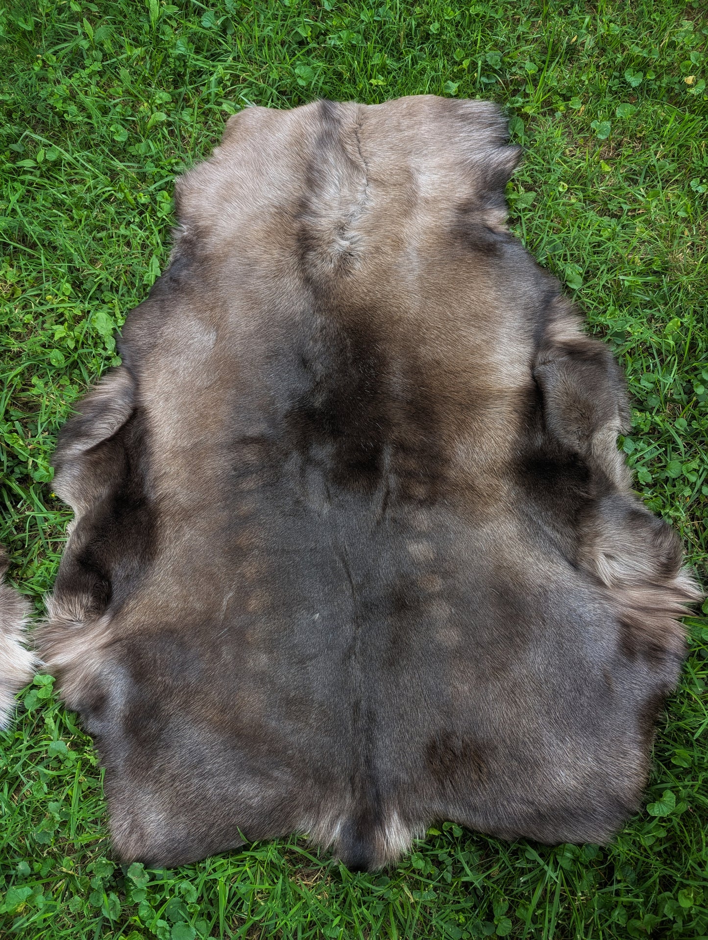 Super Soft Dark Brown Finnish Reindeer Hides | Imported from Sami Herders | Viking Decor | Fur Throw