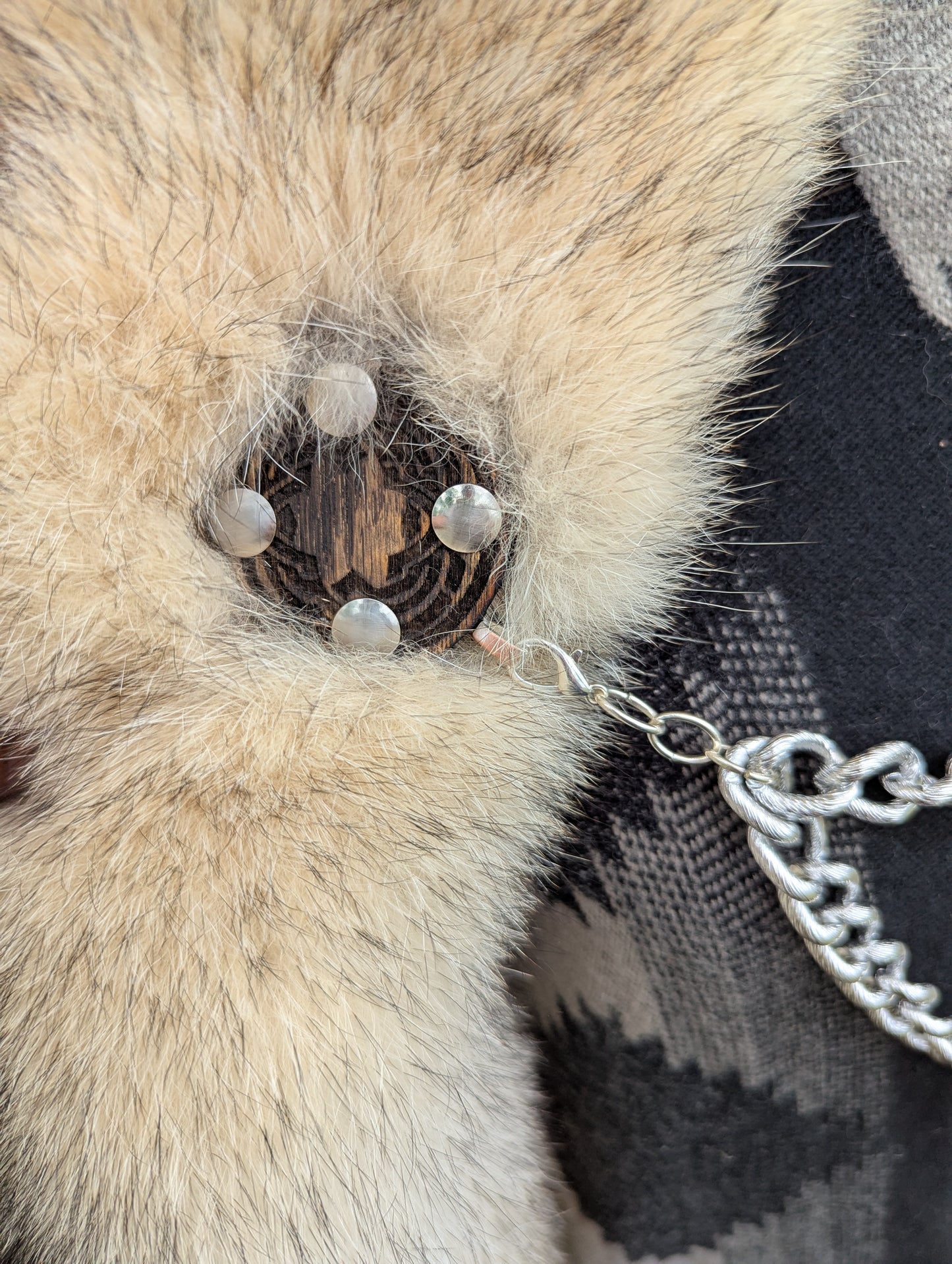 Wolf Hide Cloak (Gray Wolf)