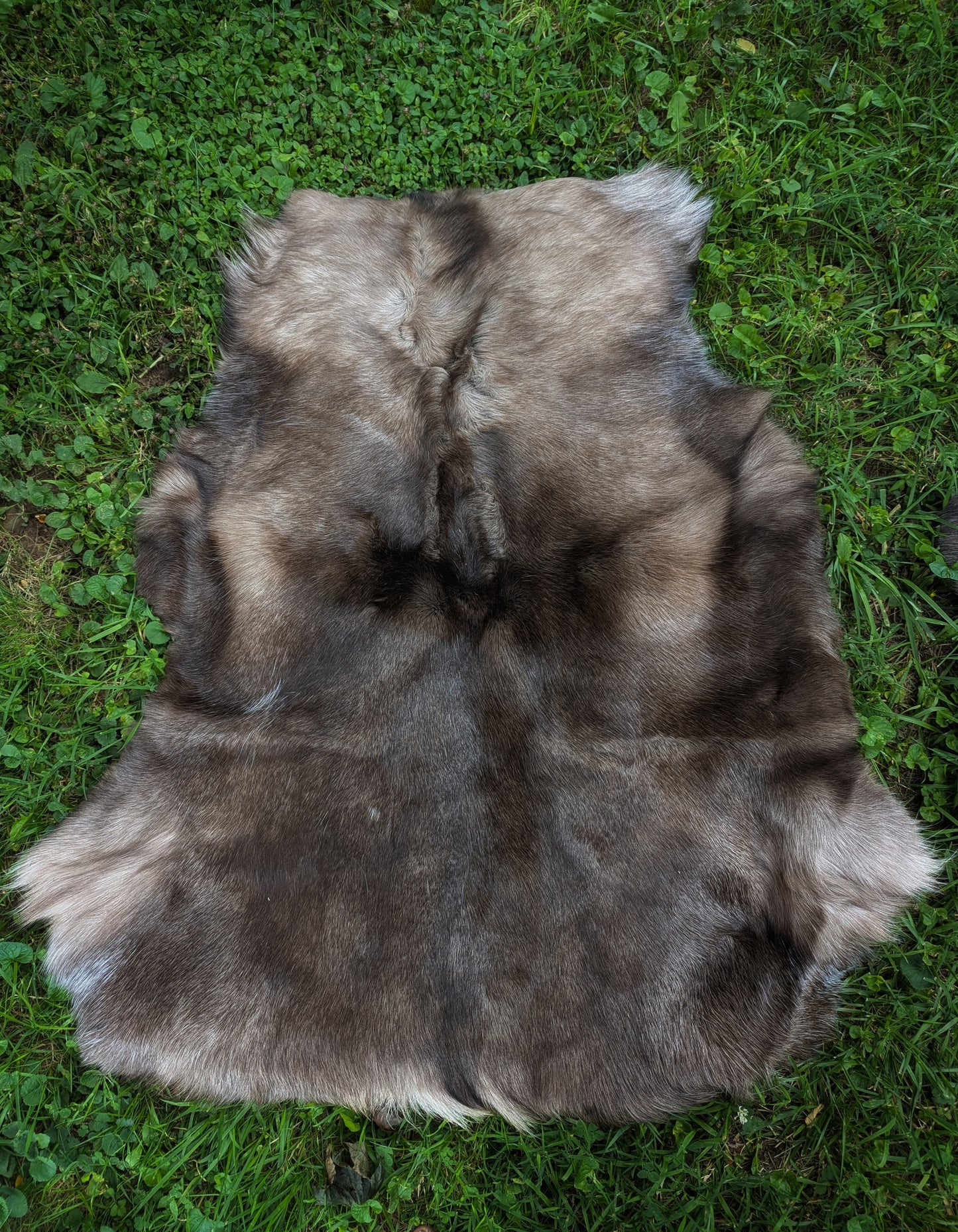 Super Soft Dark Brown Finnish Reindeer Hides | Imported from Sami Herders | Viking Decor | Fur Throw